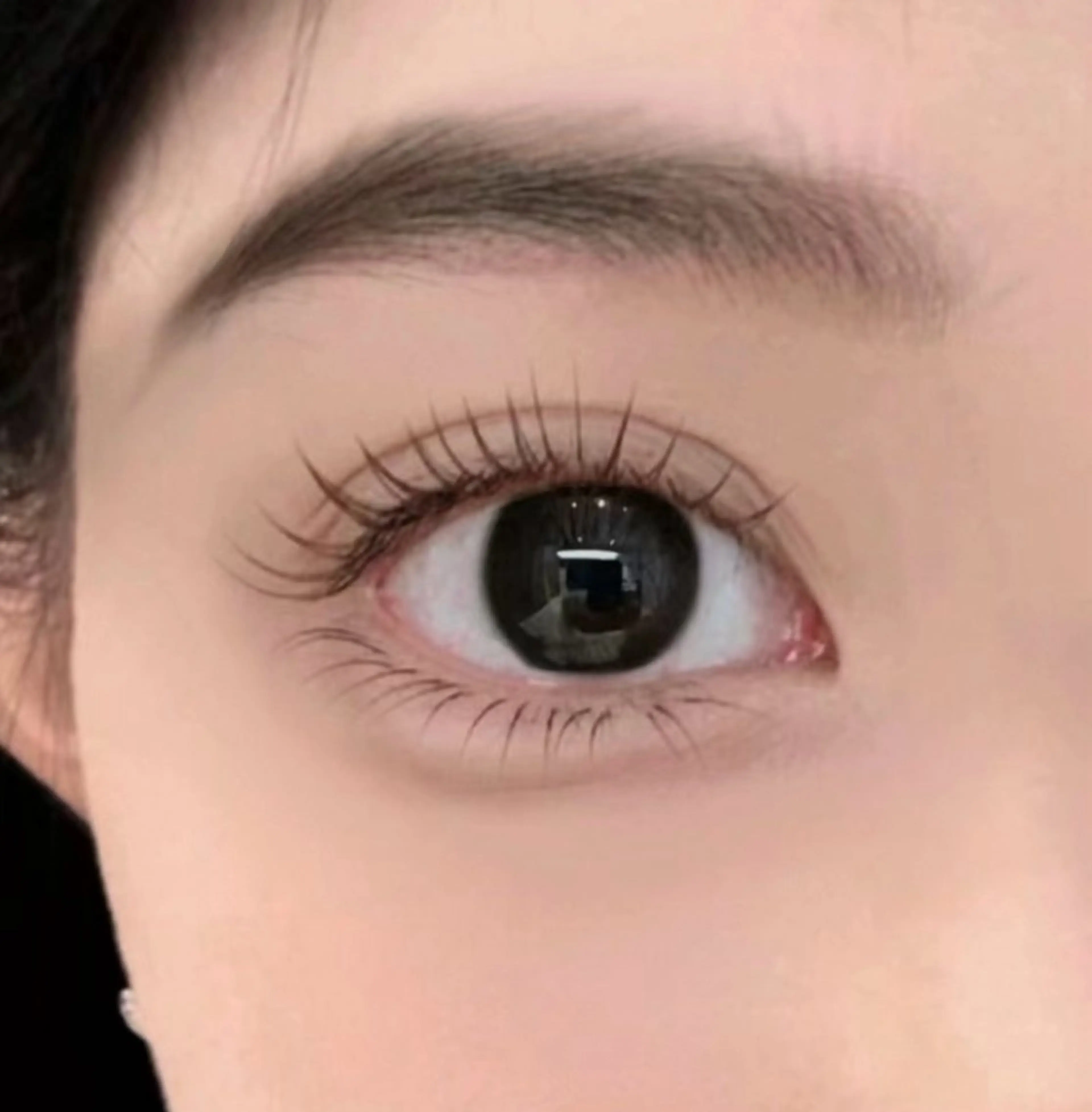 パリエク80本まで⭐️オフなし⭐️の写真