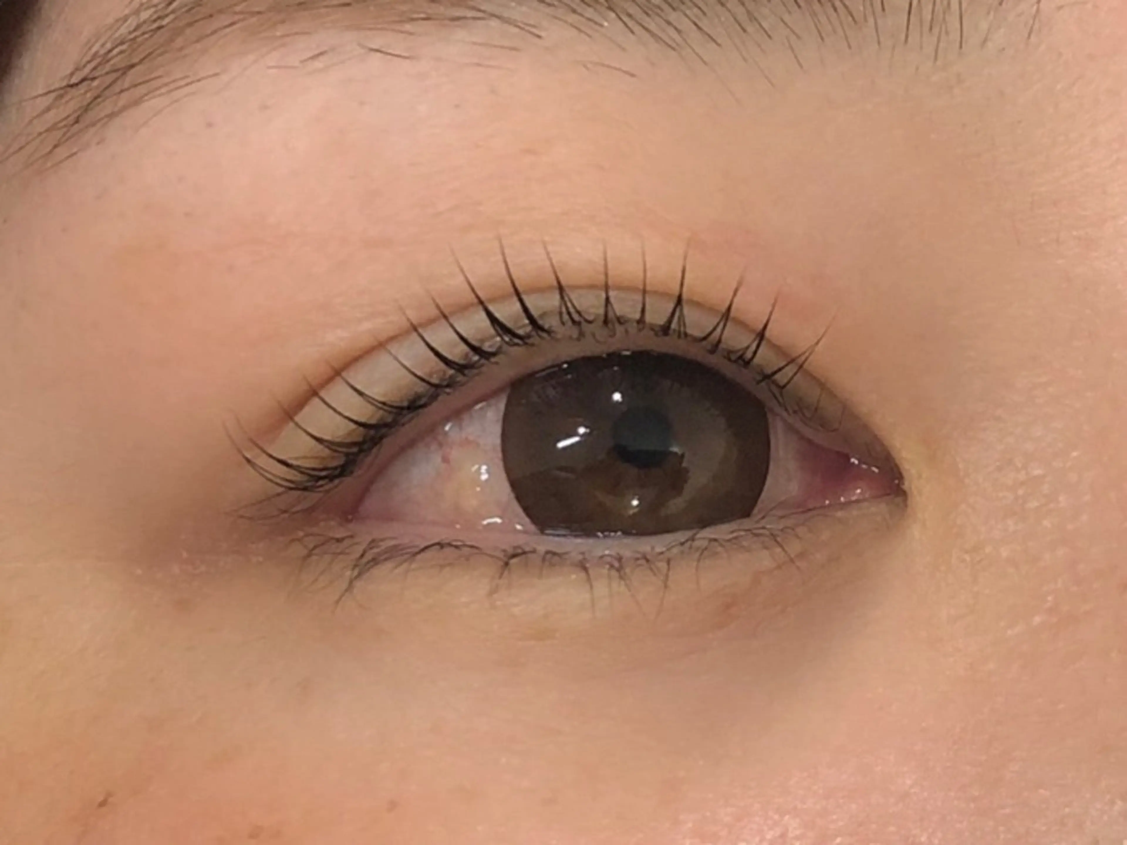 マツエク・マツパ 一重×まつ毛パーマ Dahliaダリア 斉藤のマツエク・マツパデザイン