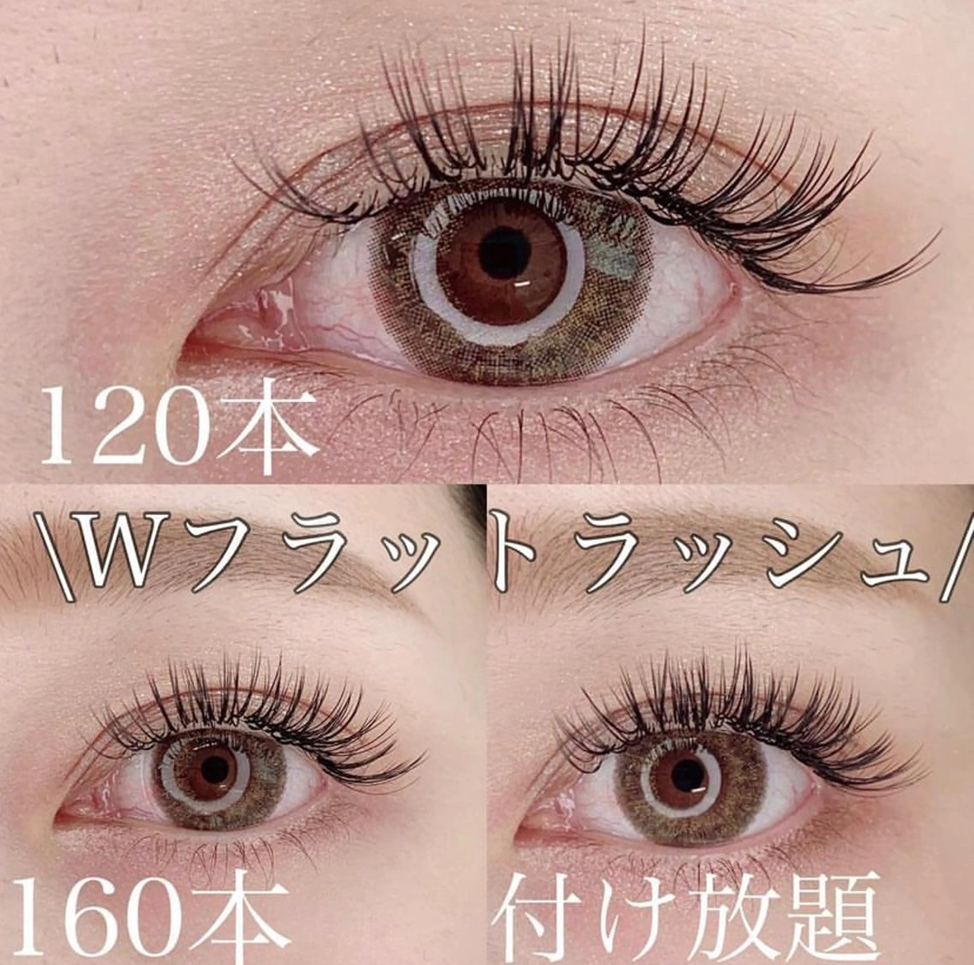 平日限定🌷オフなし🌷Wフラット120本の写真