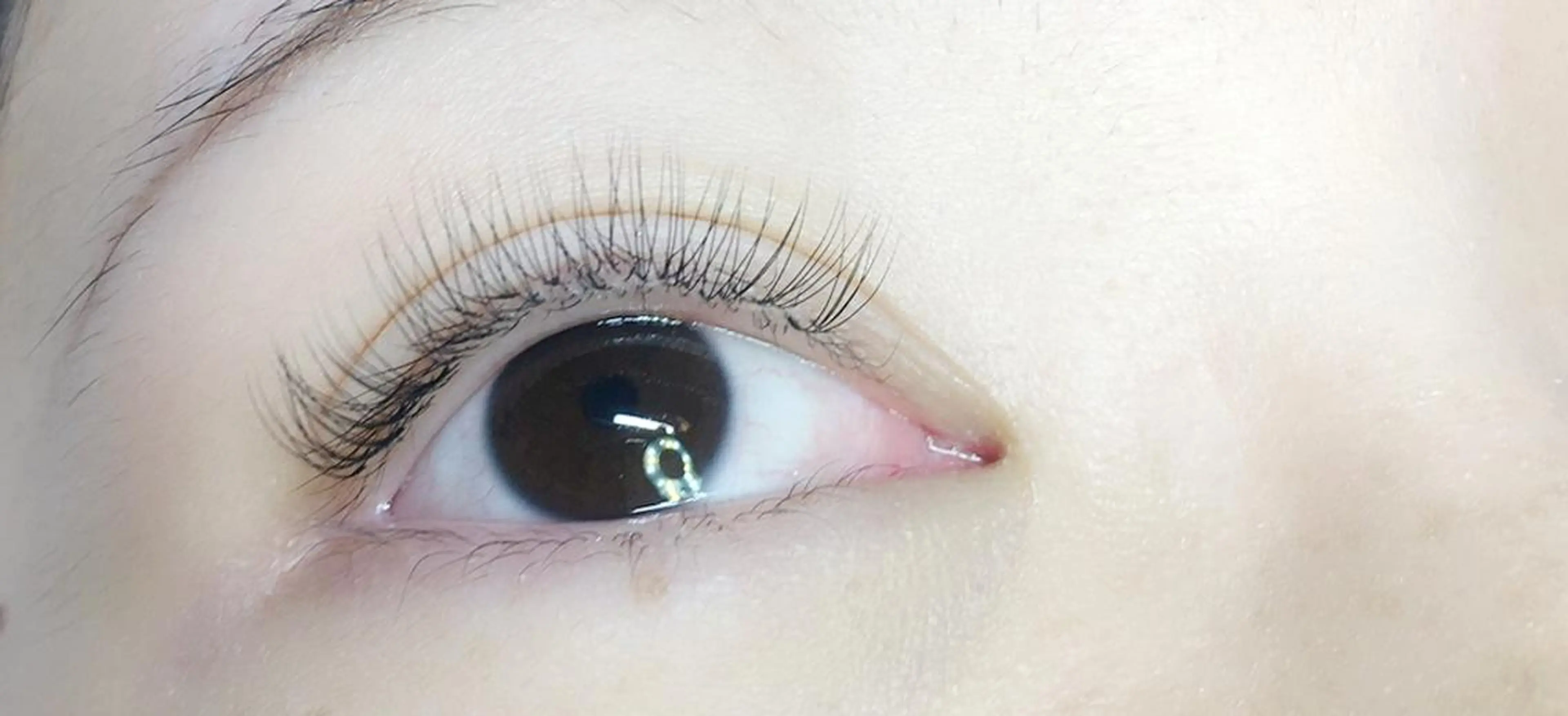 マツエク・マツパ ボリュームラッシュ まつげと眉の専門店 Appy.Lashのマツエク・マツパデザイン