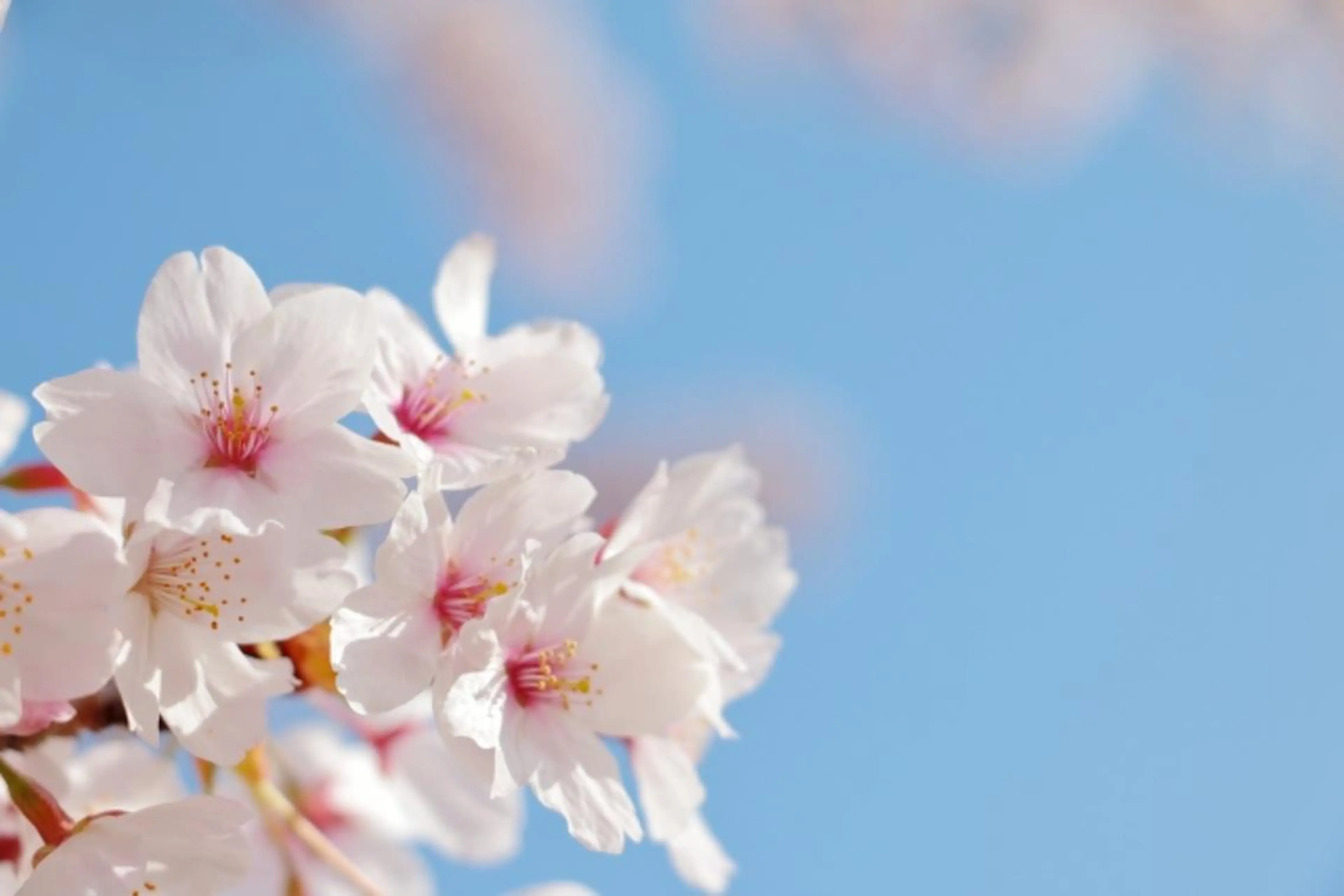 美容鍼灸&マッサージ AKASHI　藤川のその他イメージ