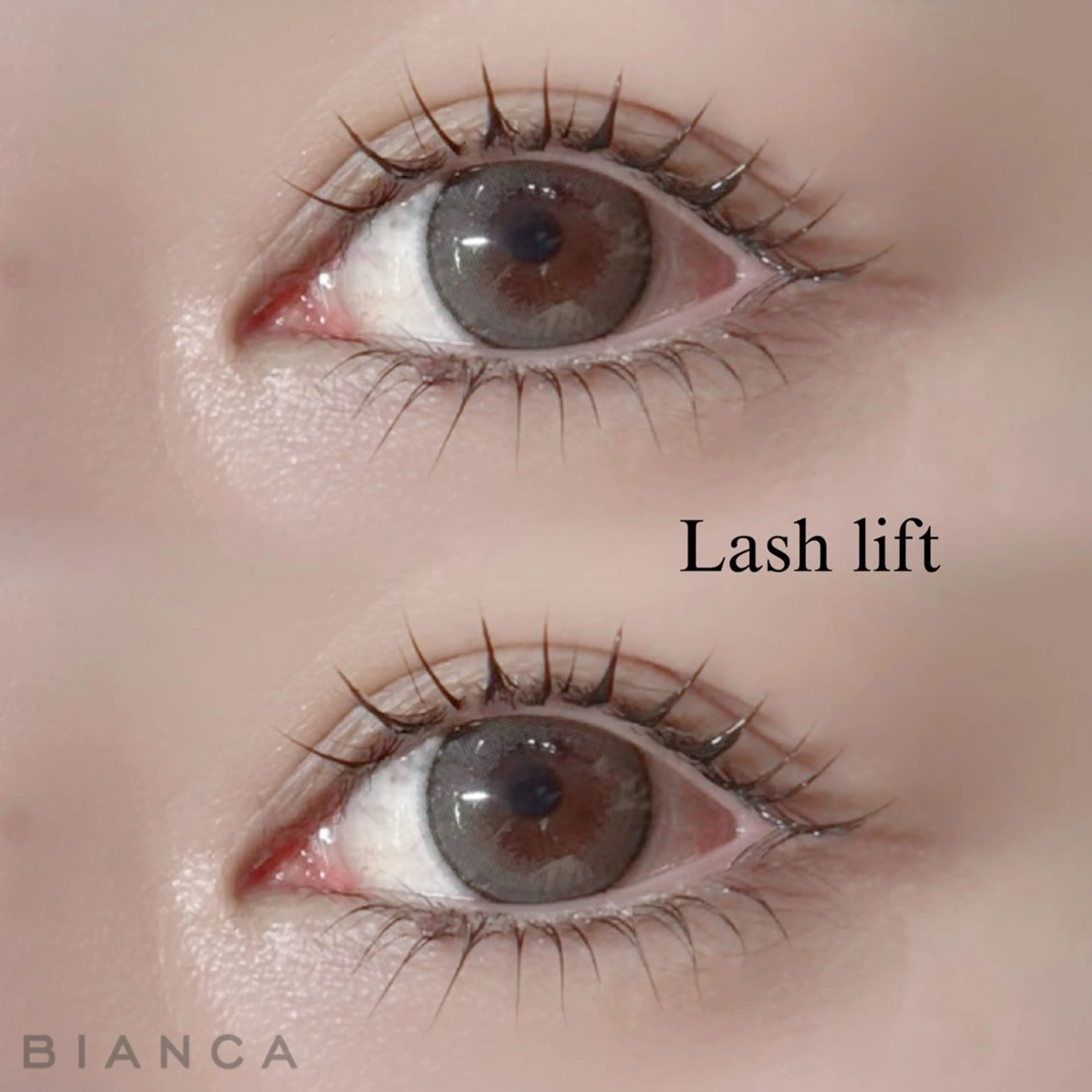 【12月限定】🎀まつ毛パーマ 上下の写真