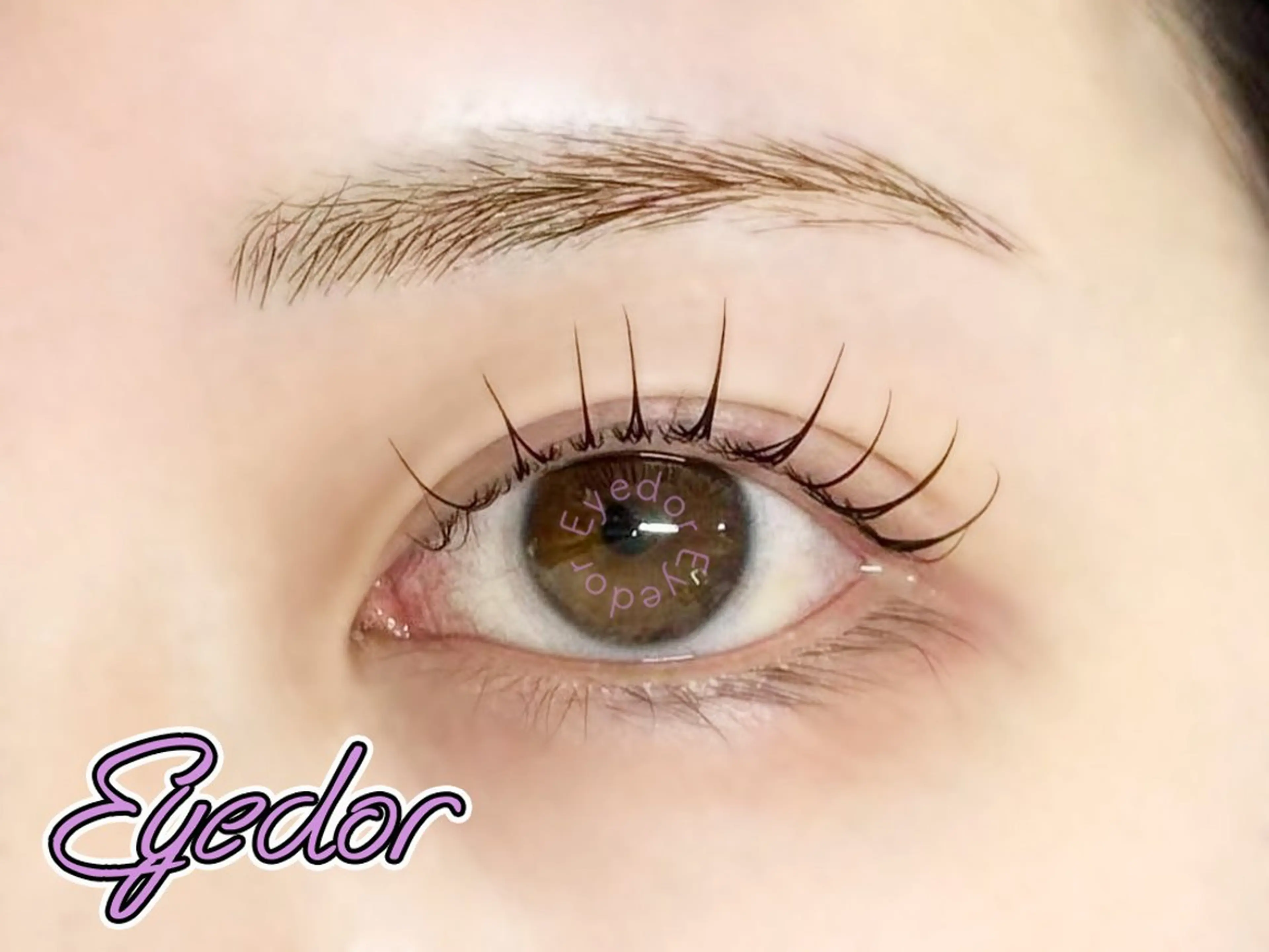 マツエク・マツパ マツパ Eyedor まつパ／眉毛専門店のマツエク・マツパデザイン