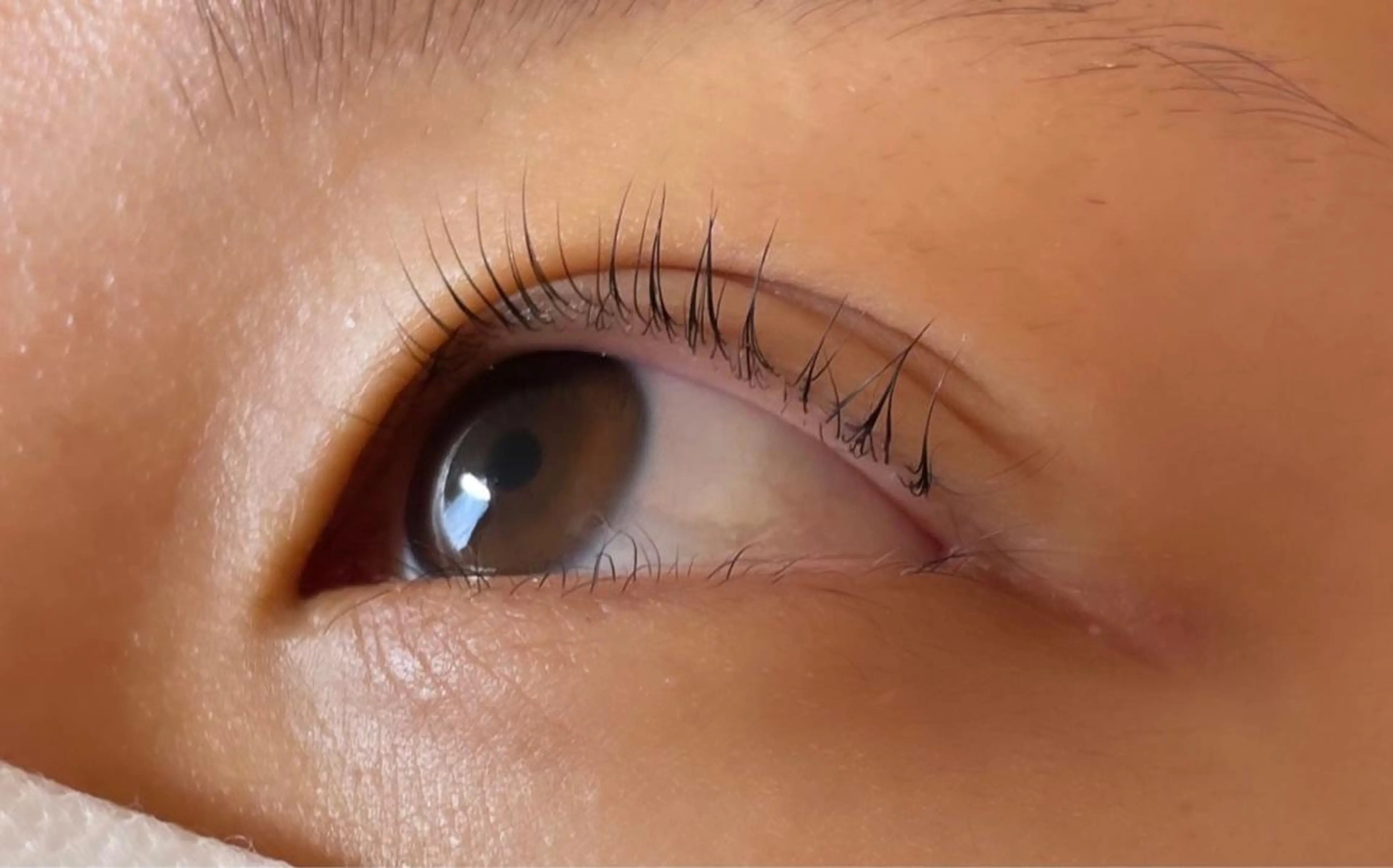 マツエク・マツパ パリジェンヌラッシュリフト Fairytail excellentのマツエク・マツパデザイン