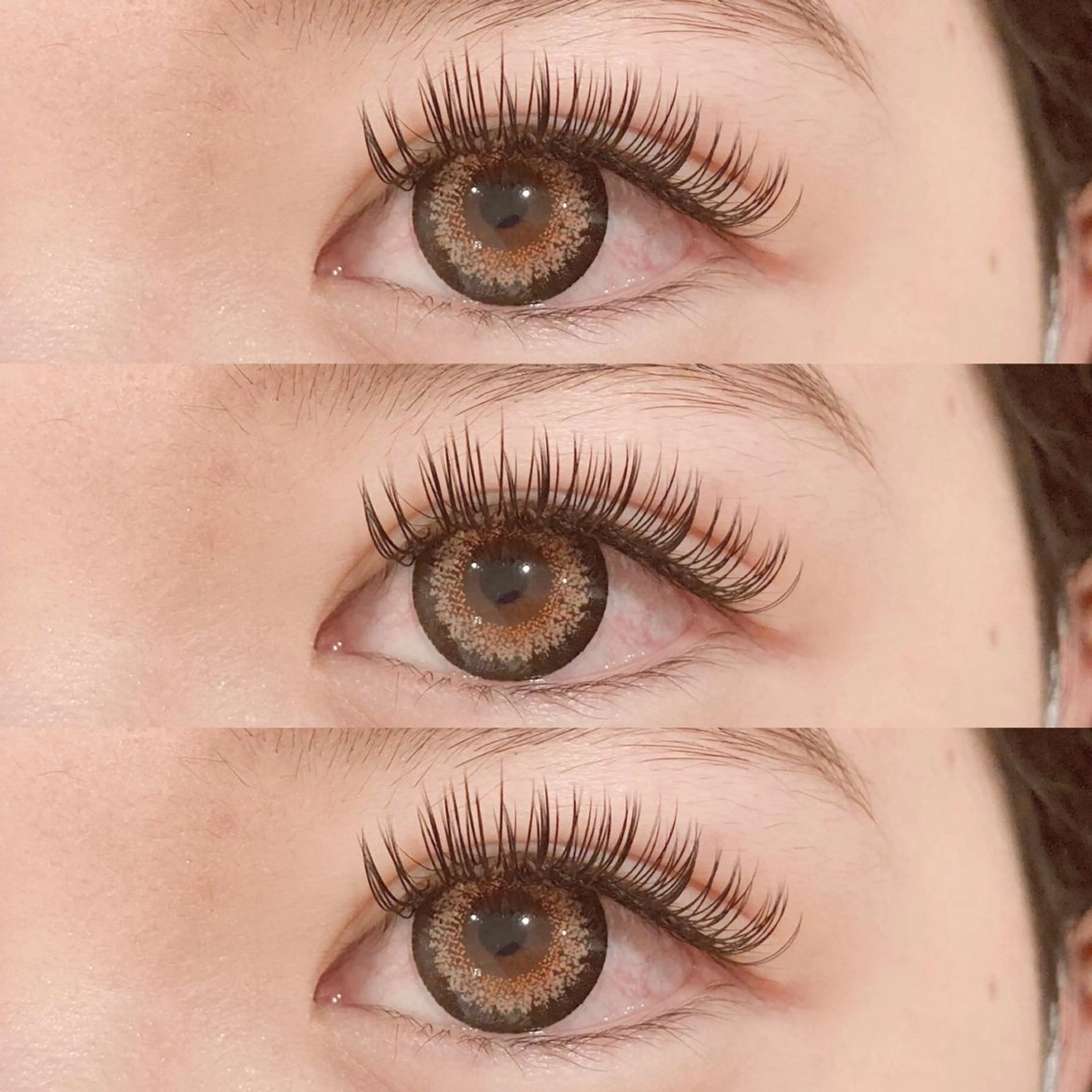 マツエク・マツパ フラットラッシュ レイフィールド北名古屋所属・レイフィールド 服部のマツエク・マツパデザイン