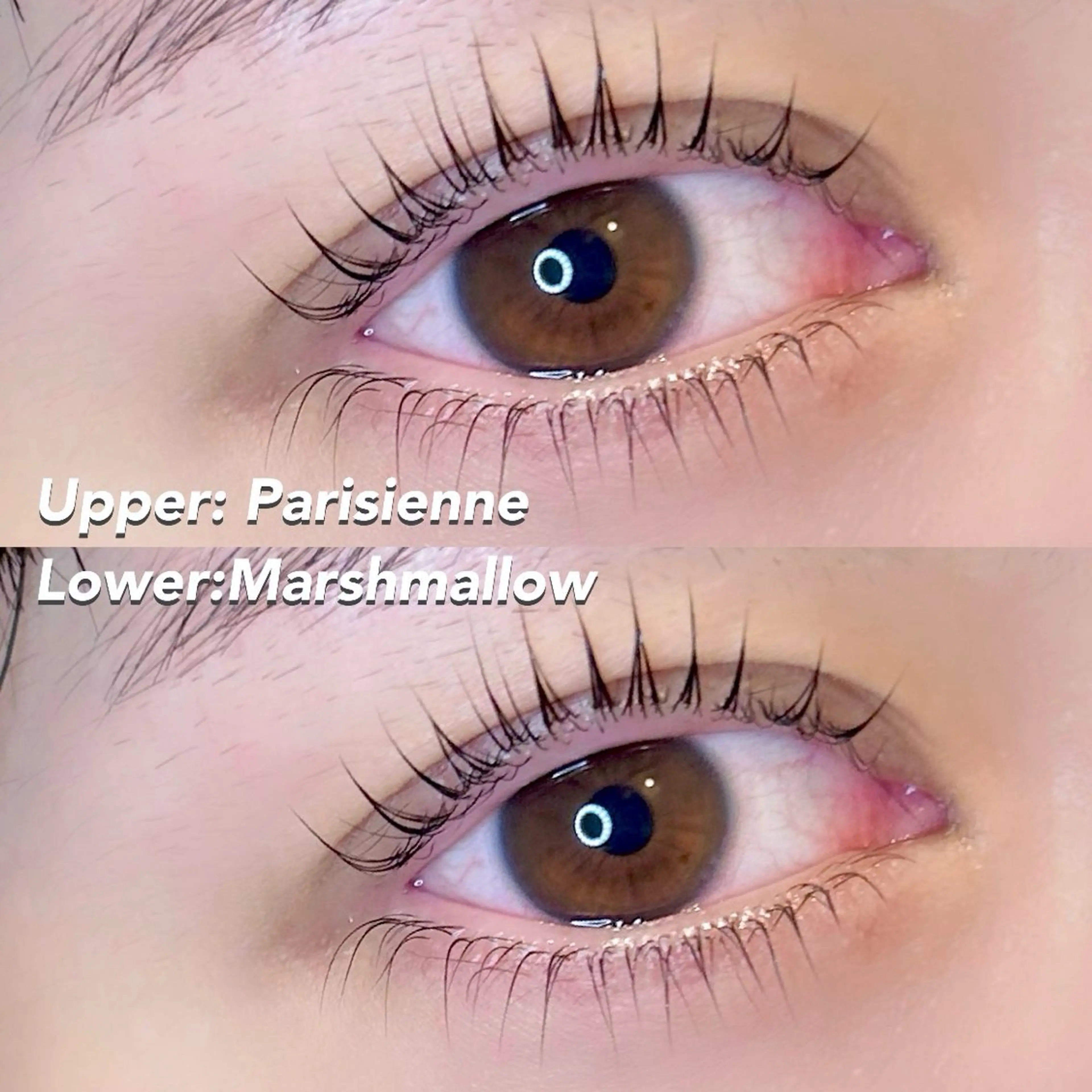 マツエク・マツパ 予約はインスタDMに て💌ユイ✮パリエクのマツエク・マツパデザイン