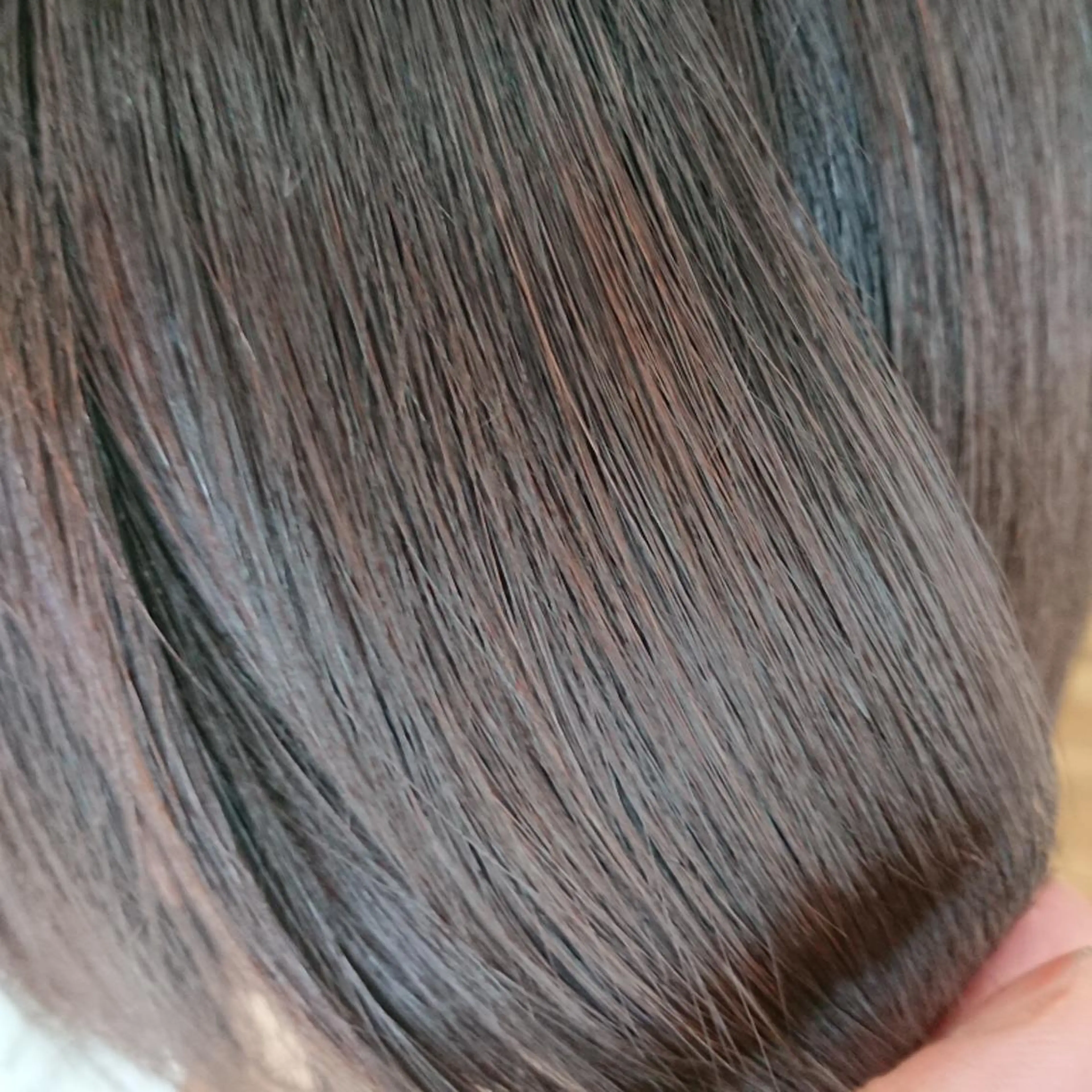 ミディアム 髪質改善 縮毛矯正 crea   芦田 武栄のヘアスタイル