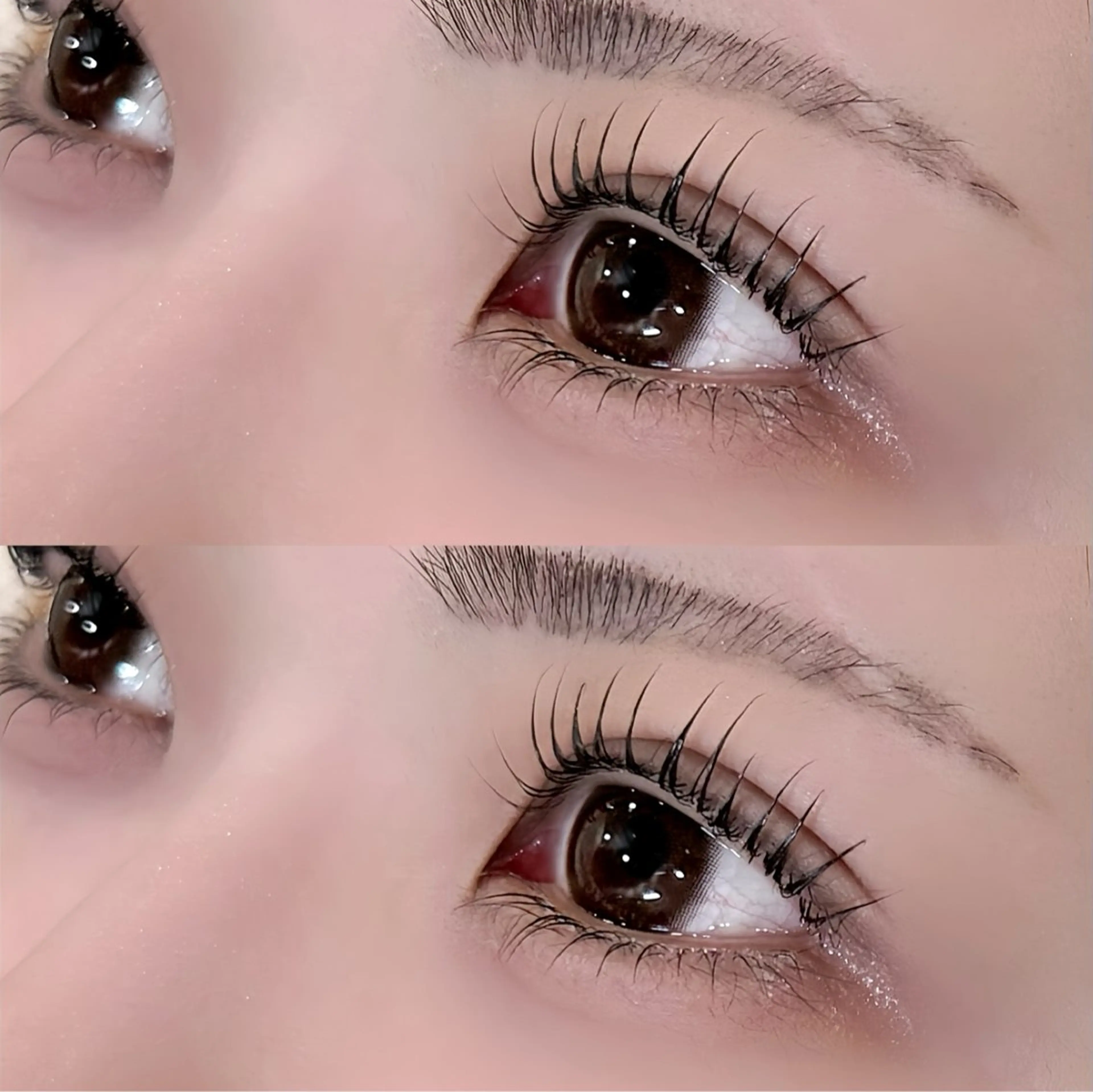 [minimo限定]🩰パーソナルラッシュリフト＋下まつげパーマ🩰￥7850の写真