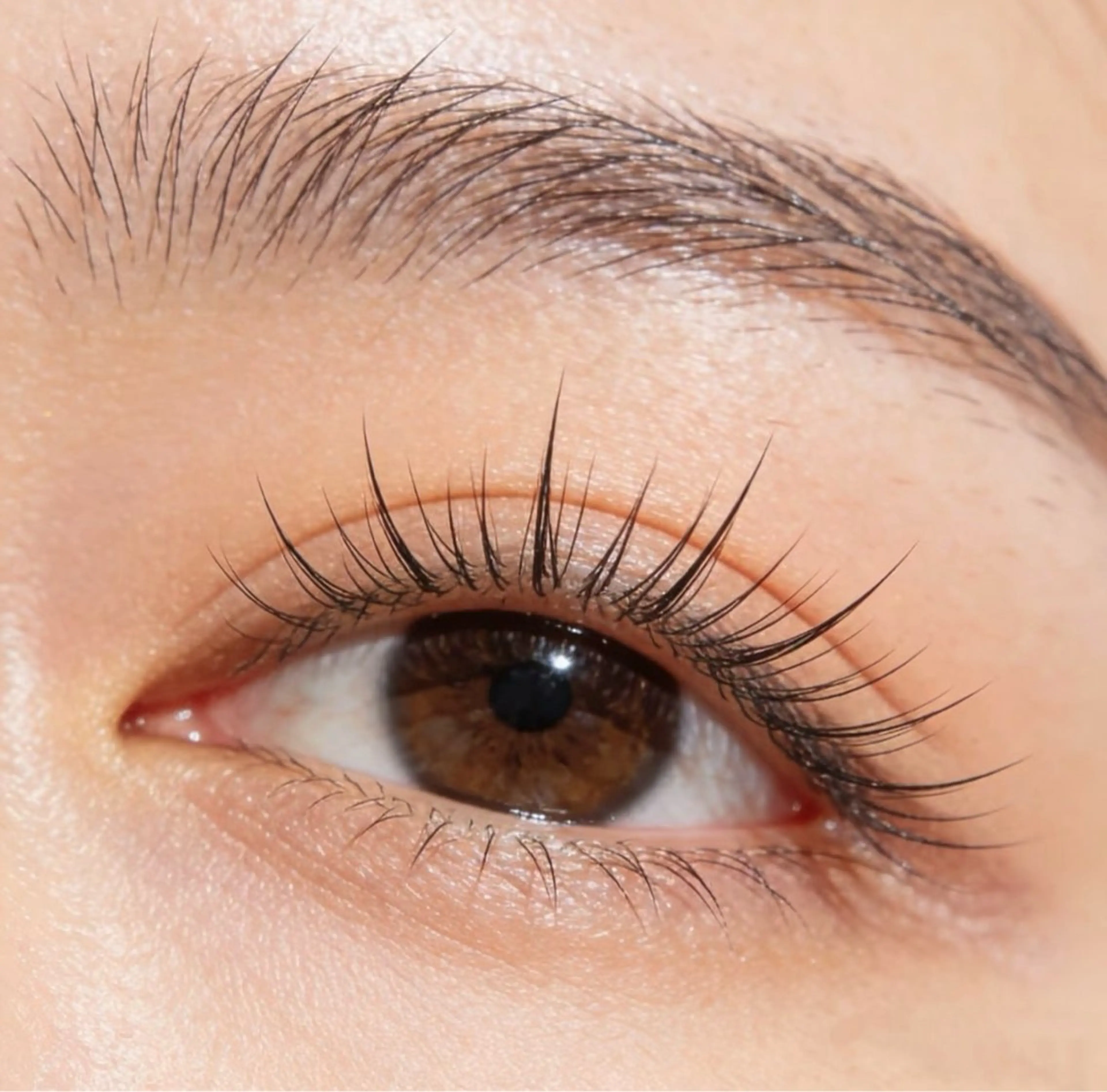 マツエク・マツパ マツエク Lash hourのマツエク・マツパデザイン