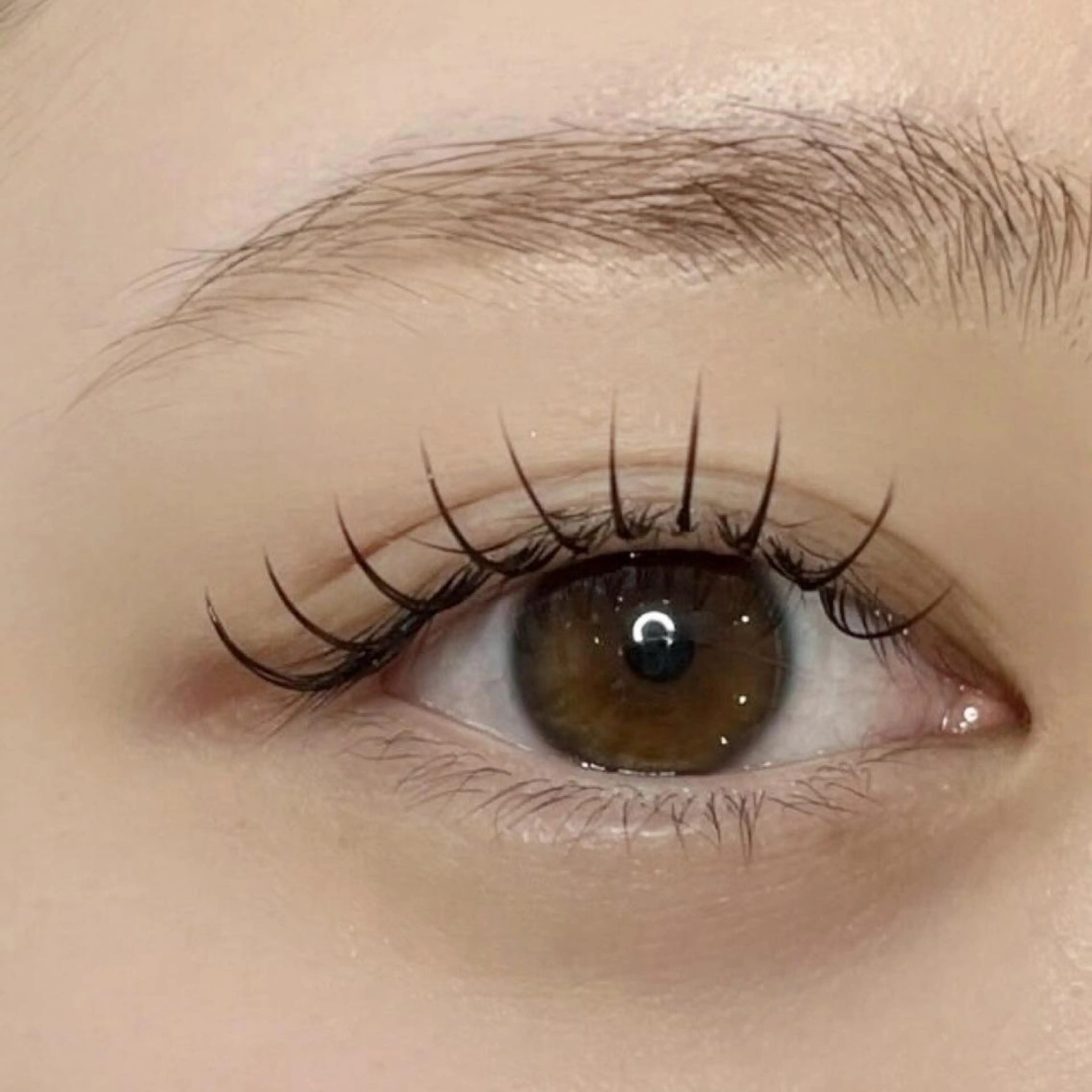 超軽量🪽フラットラッシュ100本🎀（初回オフ無料）【束感にしたい方にオススメ】の写真