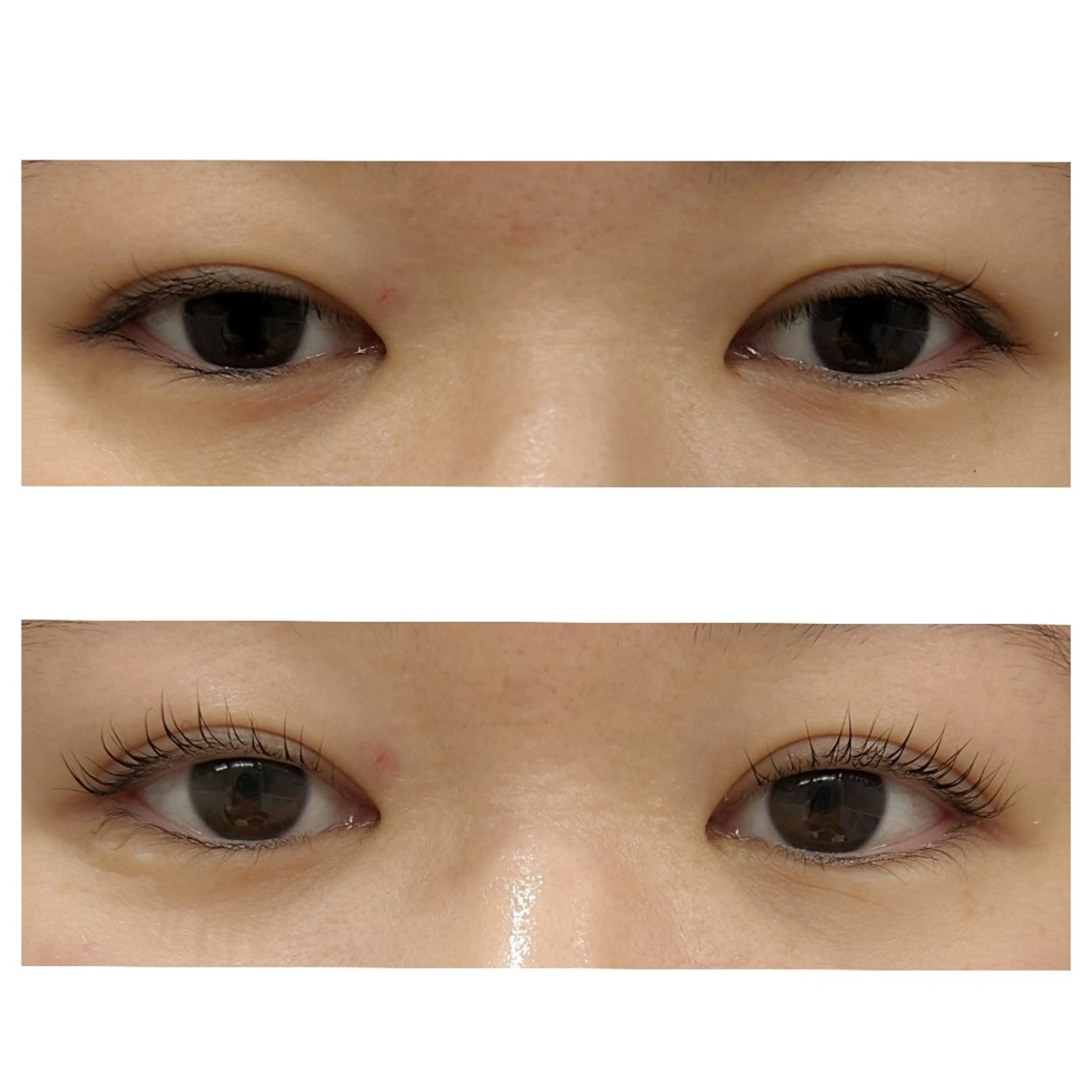 マツエク・マツパ 一重×まつ毛パーマ akane .のその他イメージ