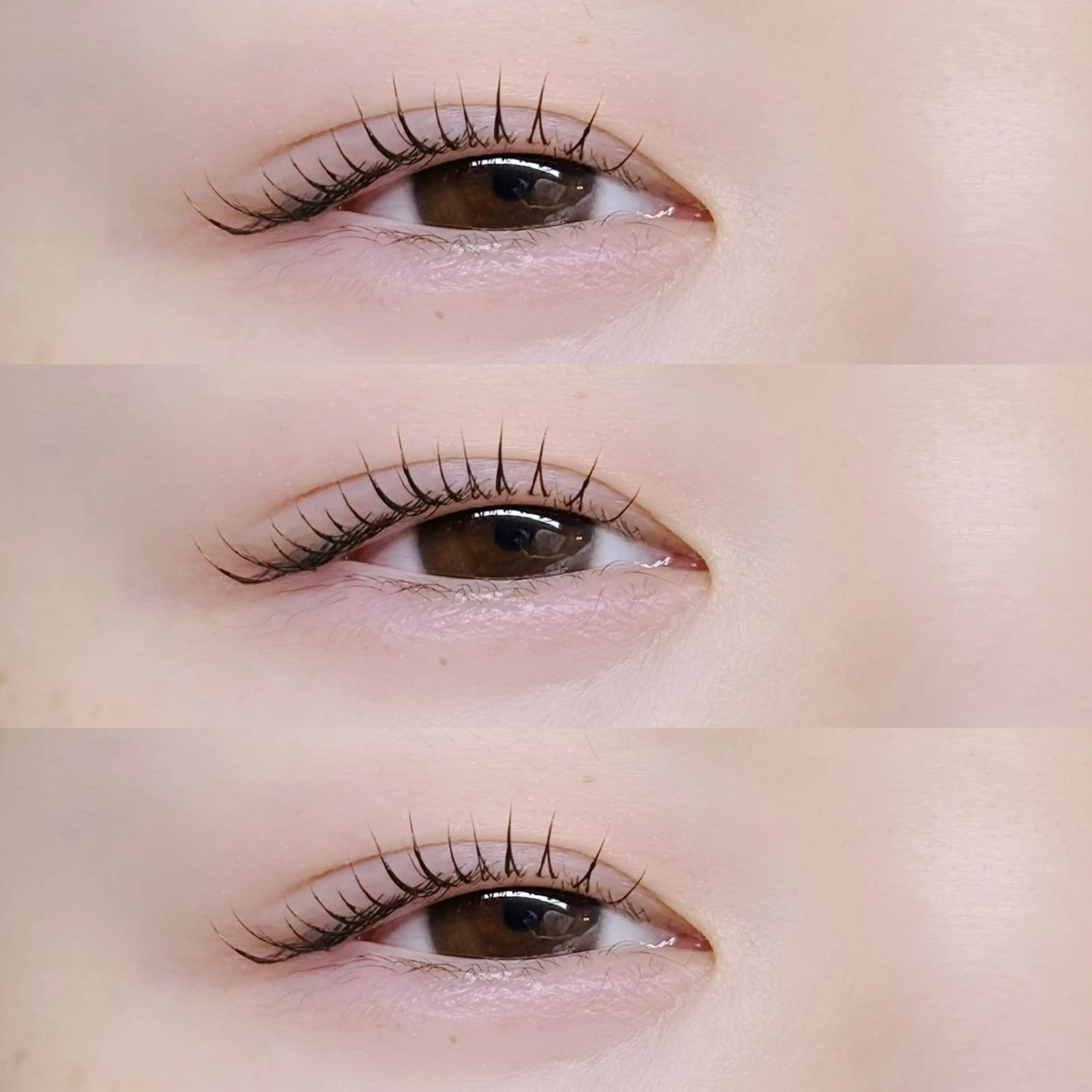 マツエク・マツパ まつげパーマ マツパ private salon楚々所属・プライベートサロン 楚々のマツエク・マツパデザイン