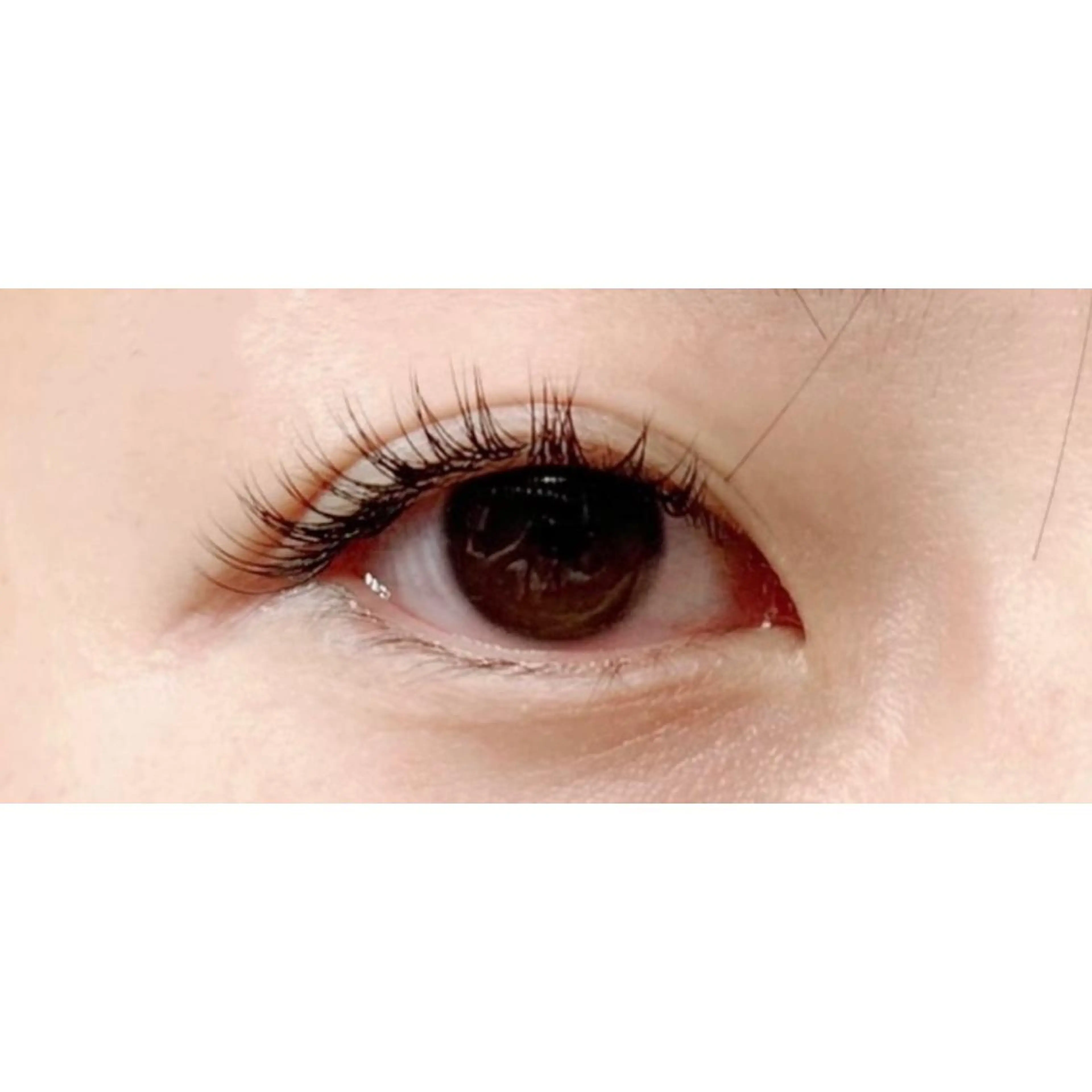 セーブルエクステ100本⭐︎オフ込♪の写真