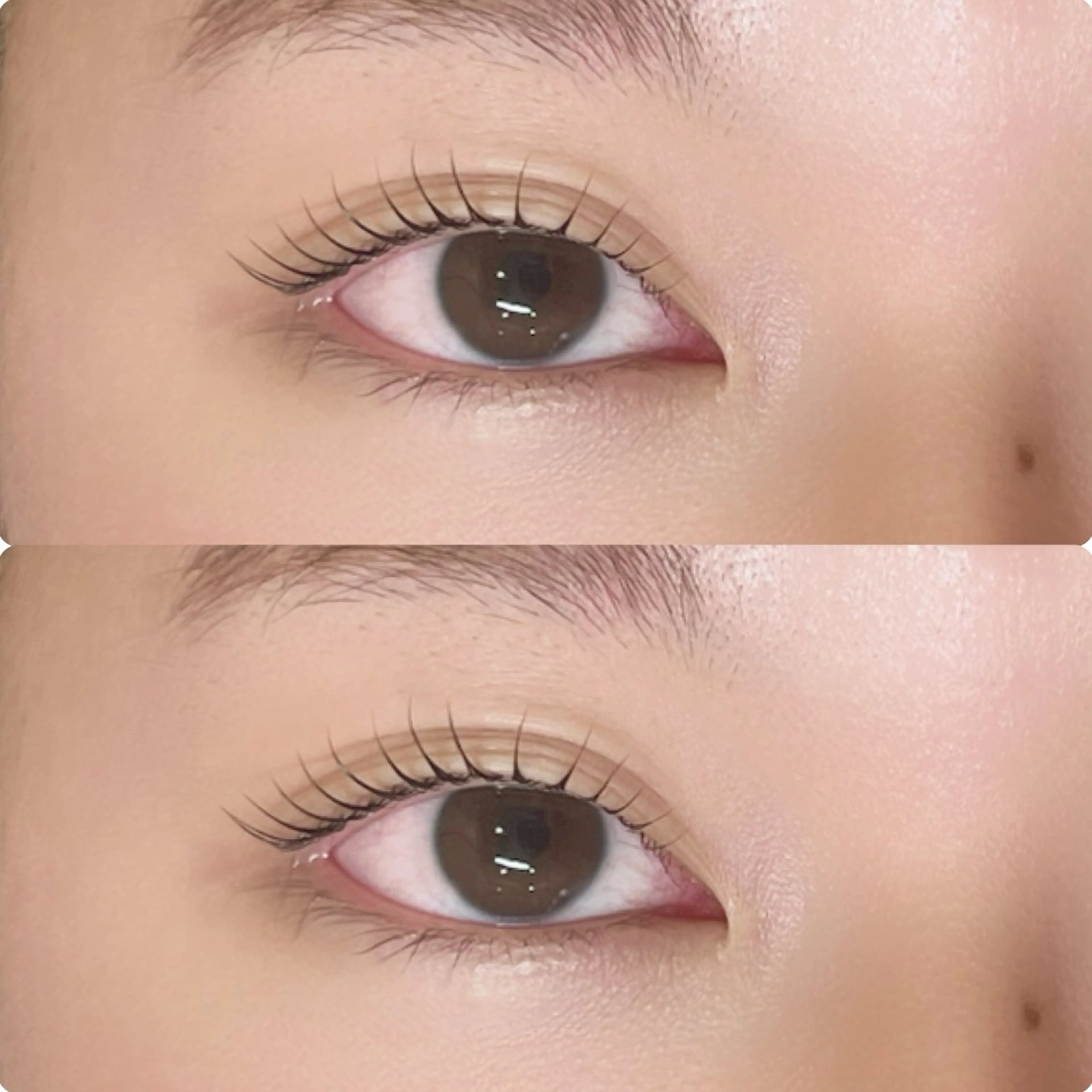 マツエク・マツパ 一重×まつ毛パーマ マツパ ROCCO Yukaのマツエク・マツパデザイン