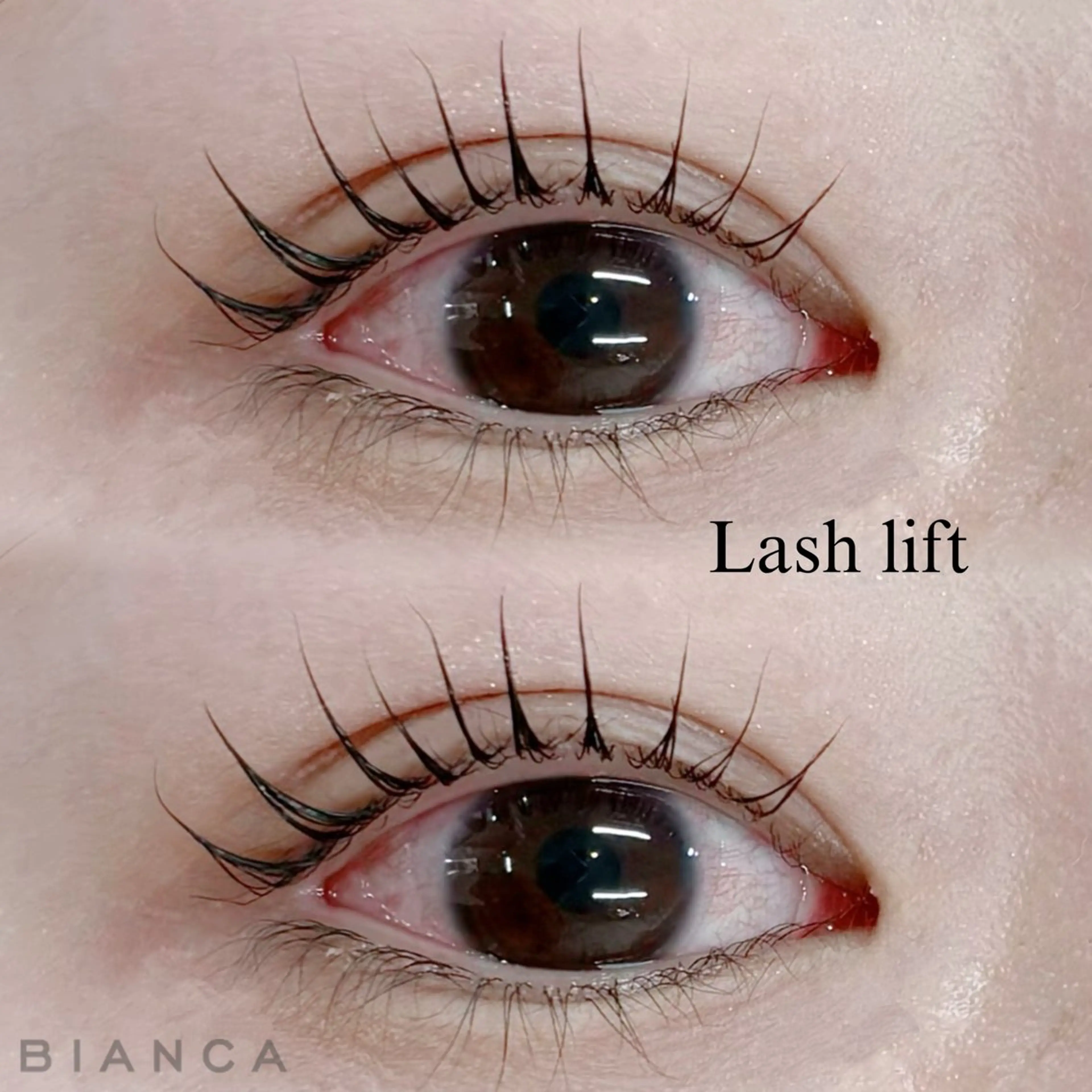 【12月限定】💎まつ毛パーマ 上のみの写真