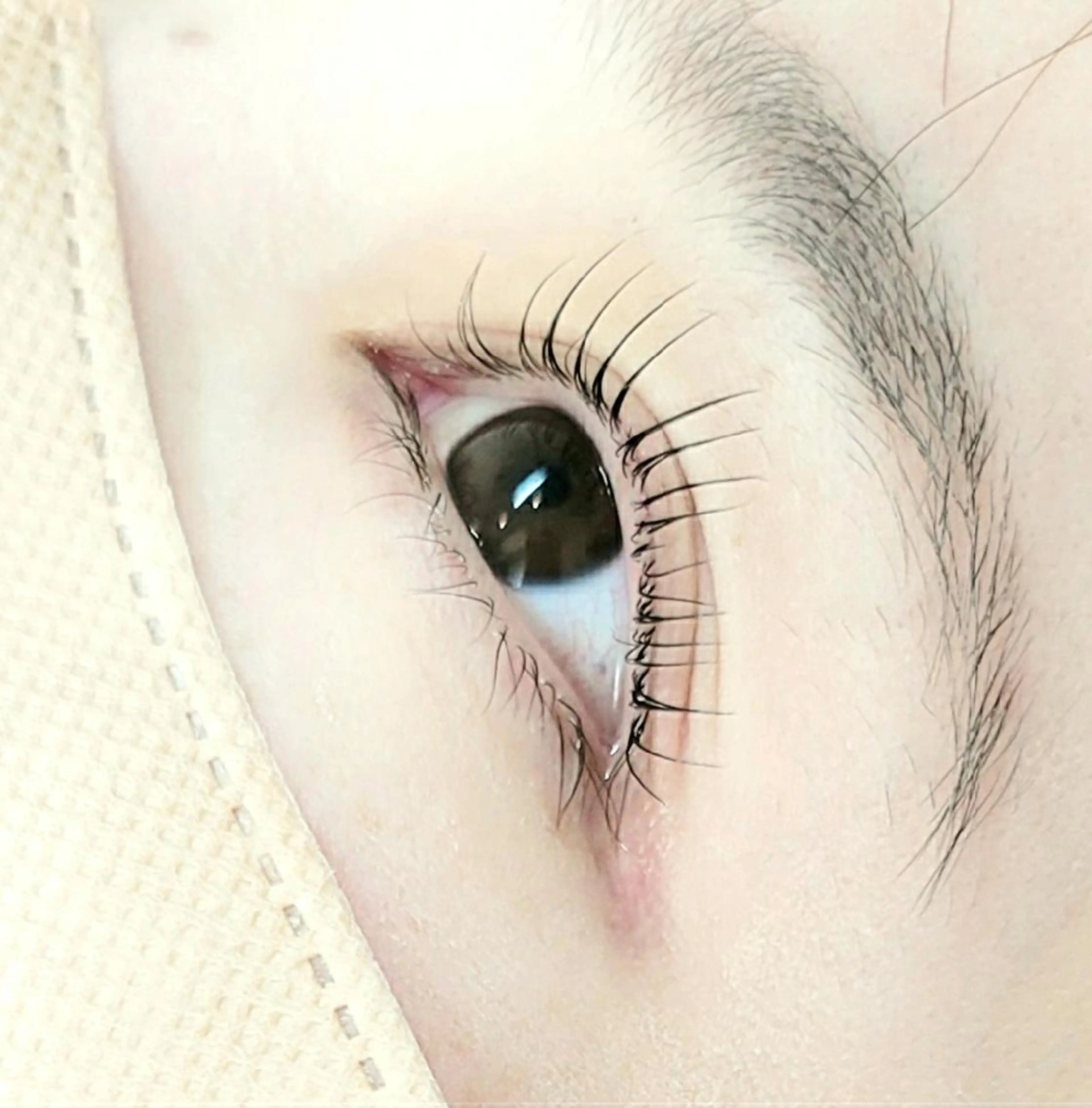 マツエク・マツパ eyelash  aglitter所属・aglitter🌙  _SAYURI_の眉毛・アイブロウイメージ