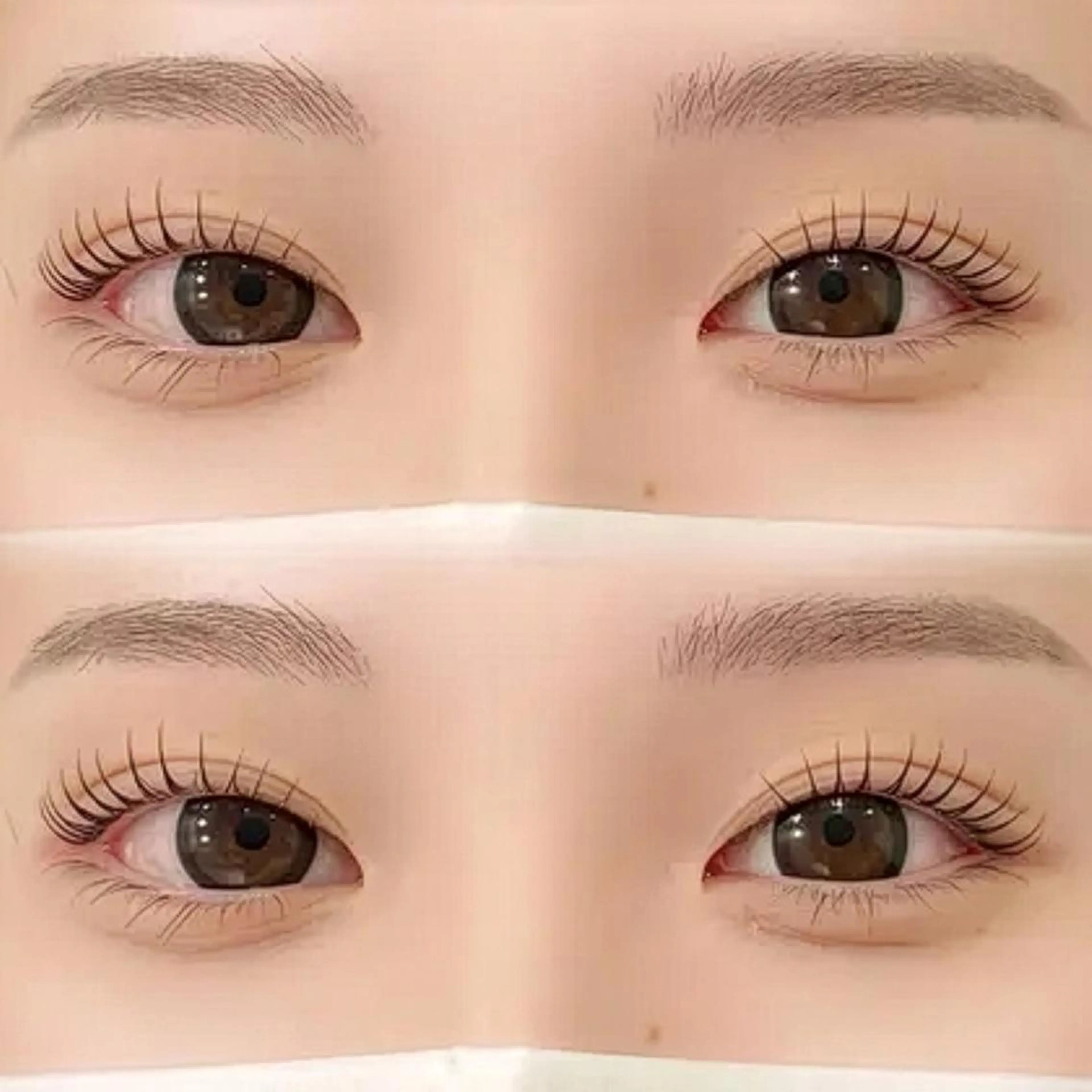 美眉スタイリング＋似合わせまつげパーマ✨️眉毛/アイブロウ/まつげパーマの写真