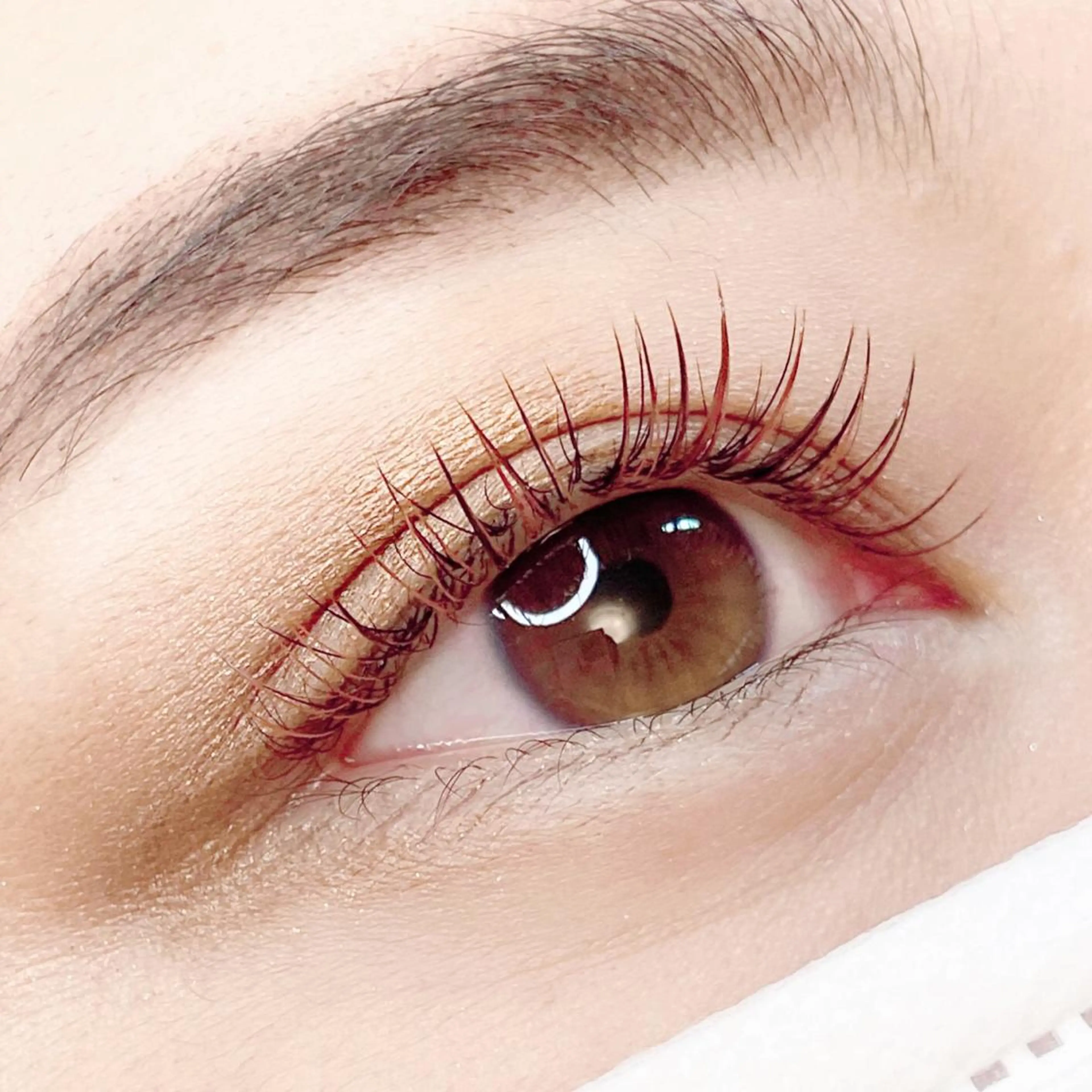 2回目以降の回数券【回数券】の写真