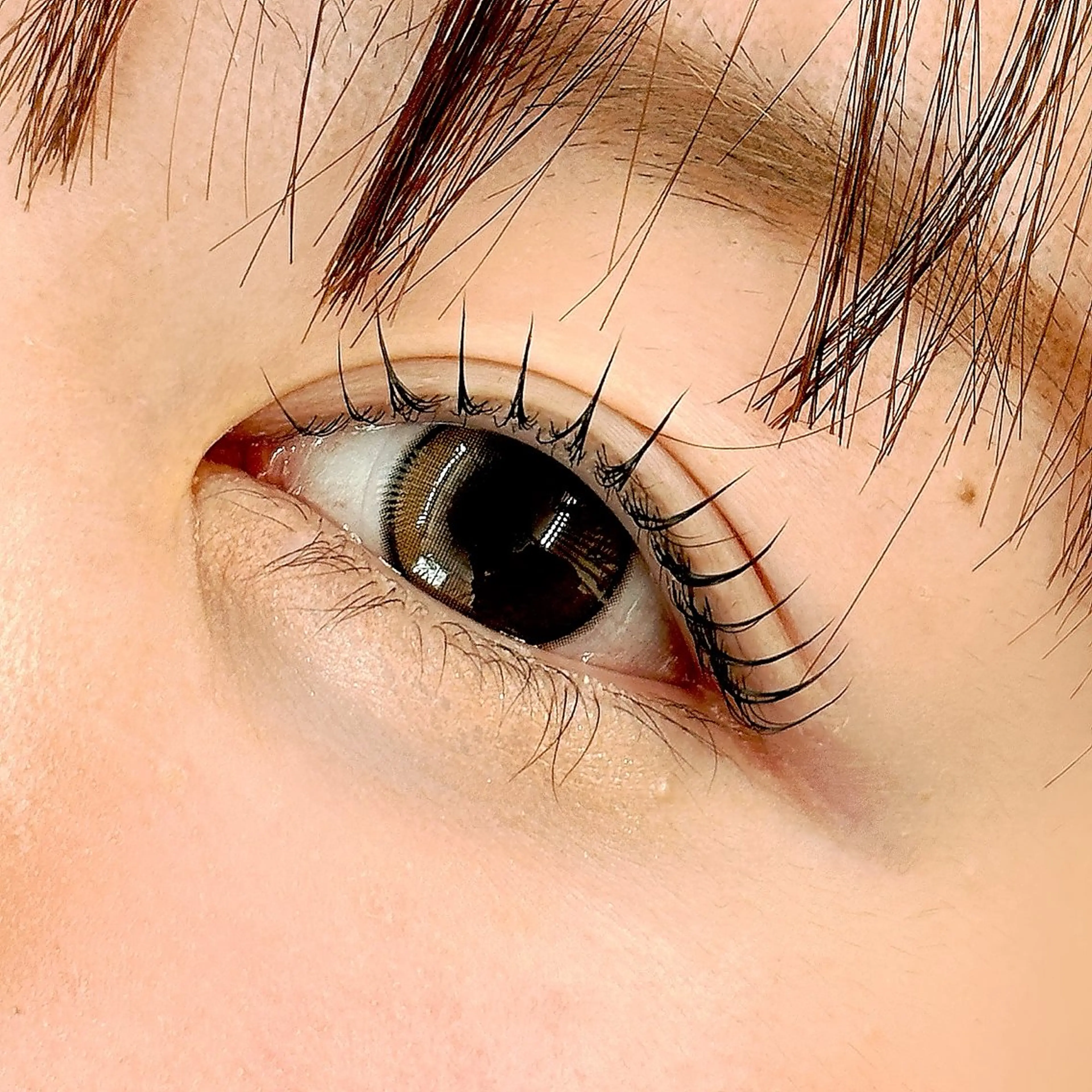 マツエク・マツパ マツパ MIKU アイリストのマツエク・マツパデザイン