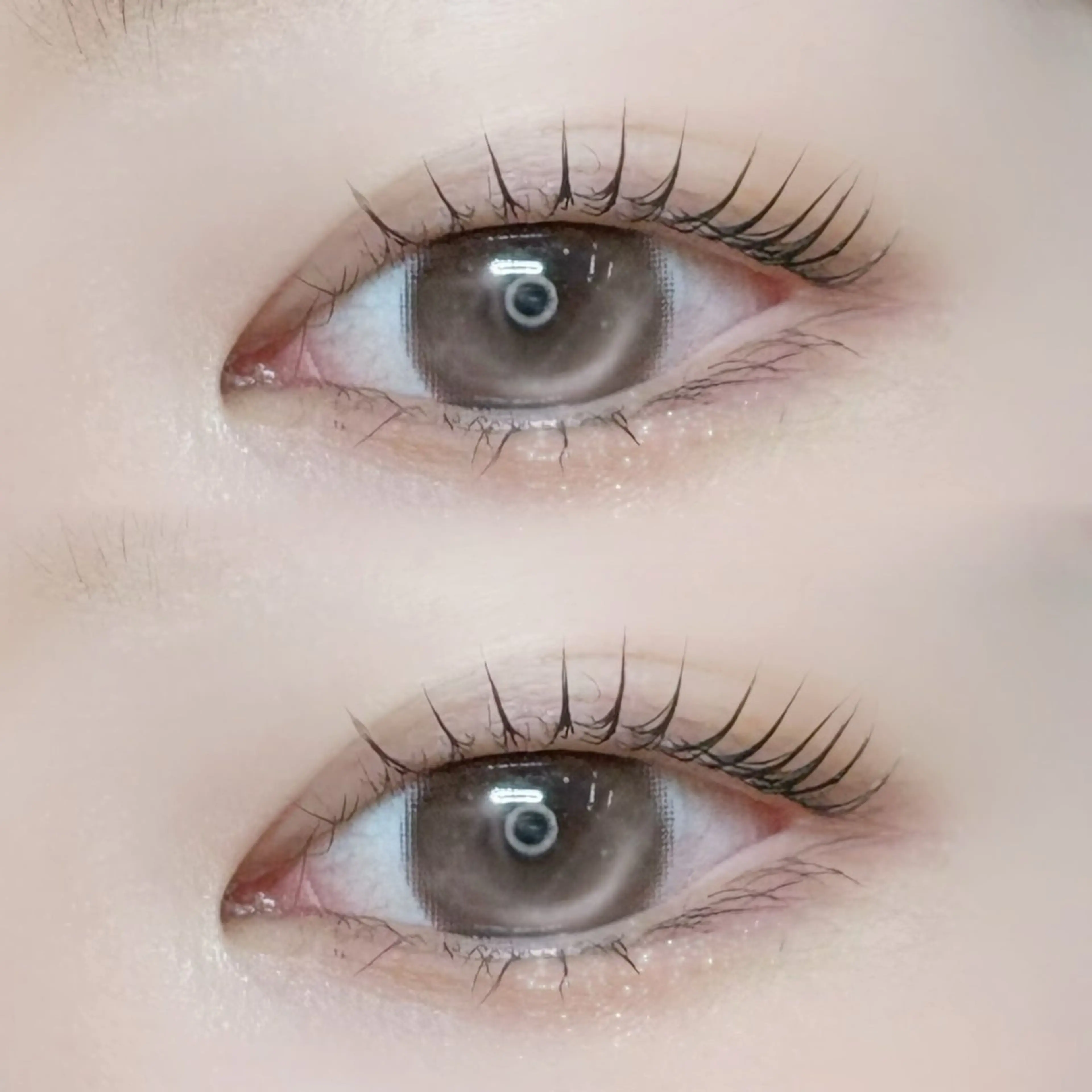 【21.22.24.25日日限定】通常から－500円オフ‼️（上）パリジェンヌラッシュリフト🎀.⋆トリートメント仕上げの写真