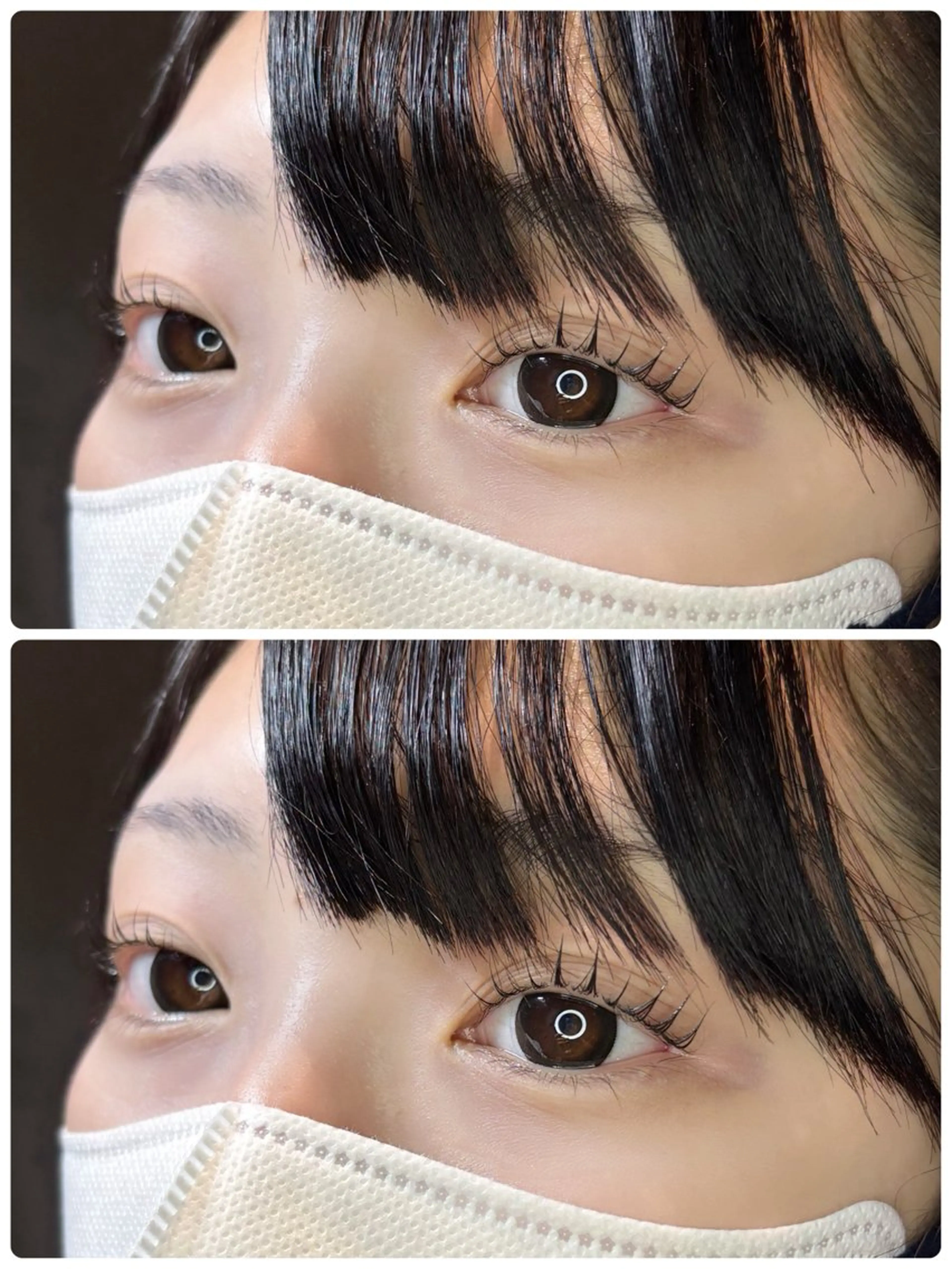 【12月限定価格🫧】⛄️パリジェンヌラッシュリフトorラッシュリフト⛄️(12/27​〜​30は+700円になります)の写真