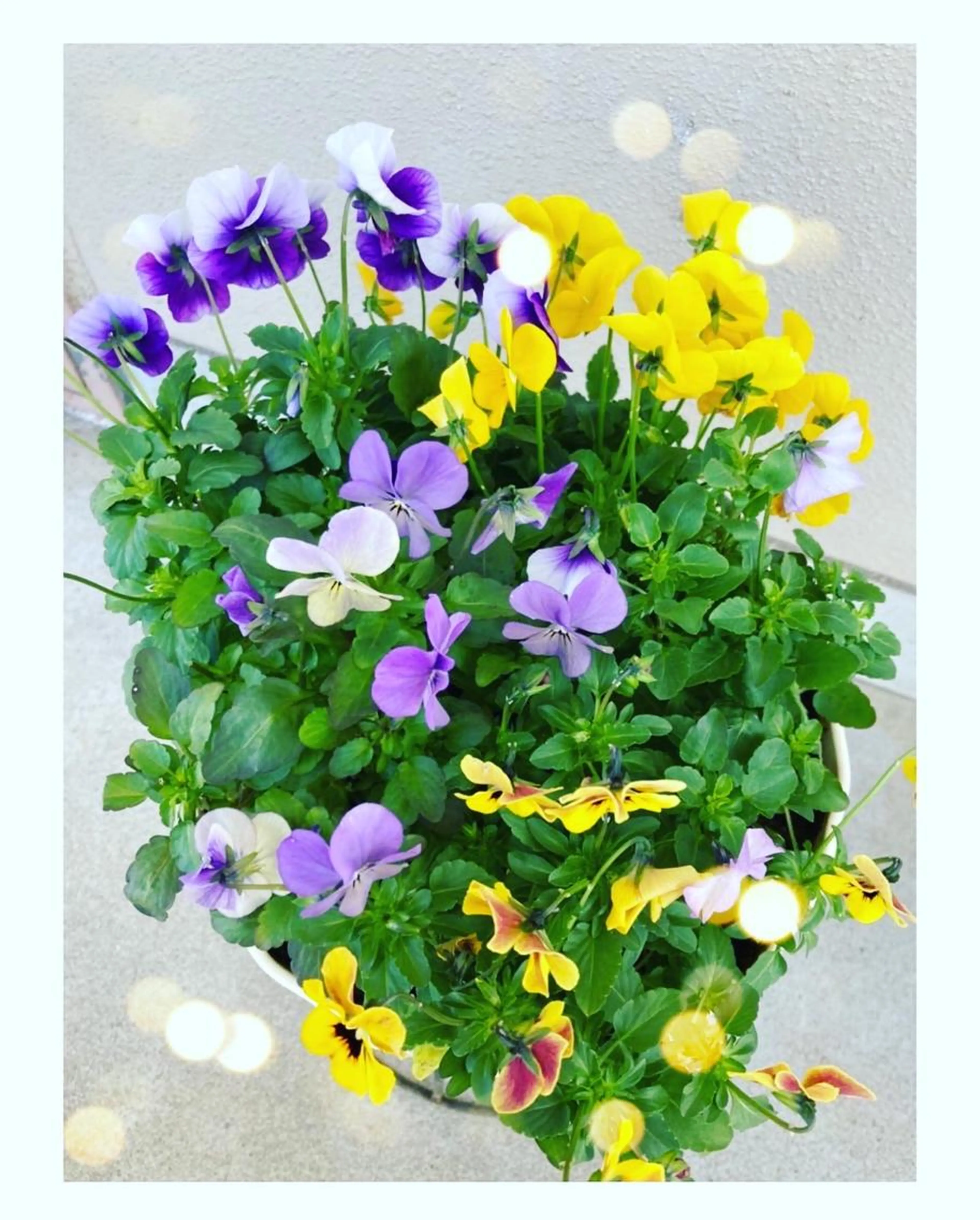 ❤️口コミ専用入り口❤️リピーター様専用💆‍♀️の写真