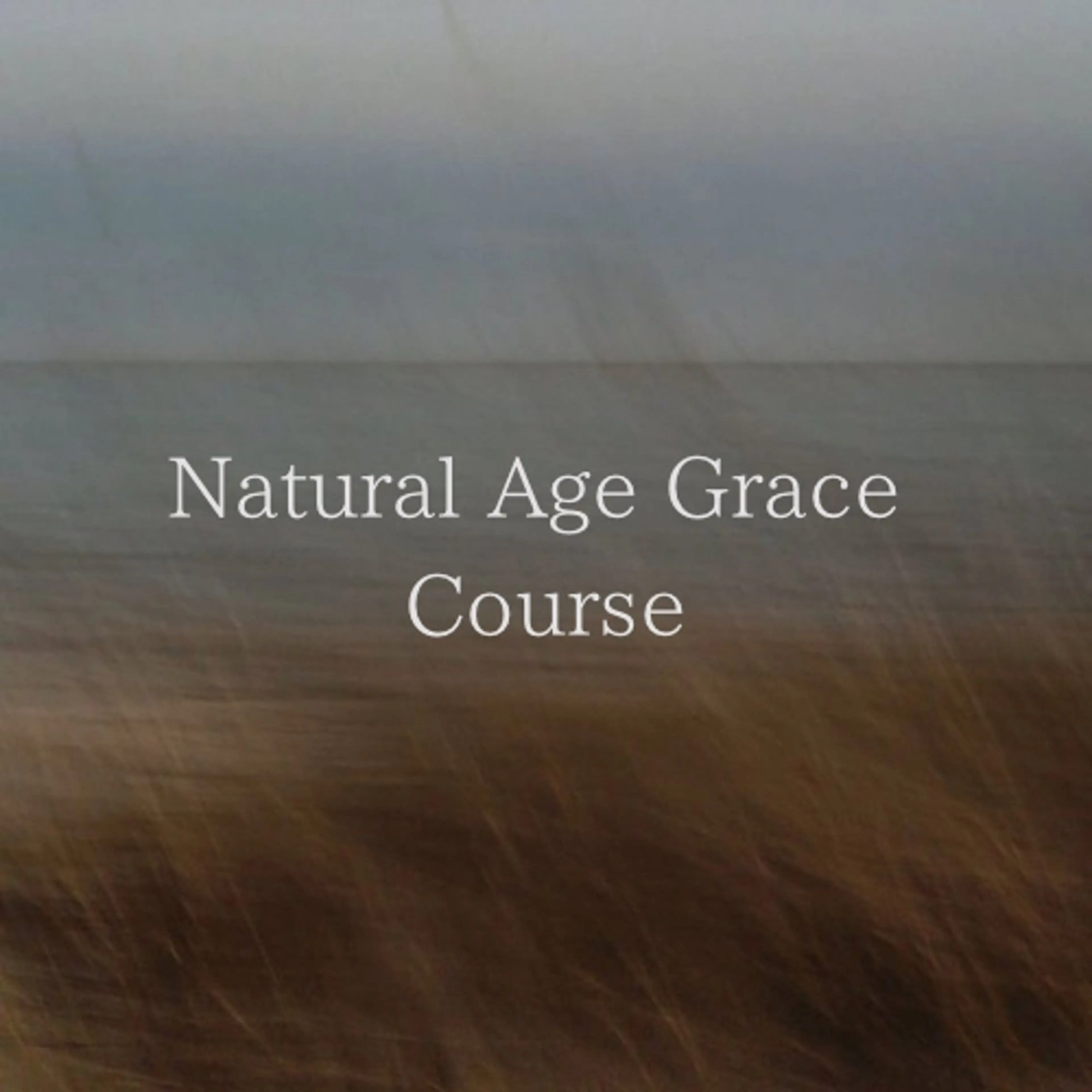 🌱エイジングケアコースの写真