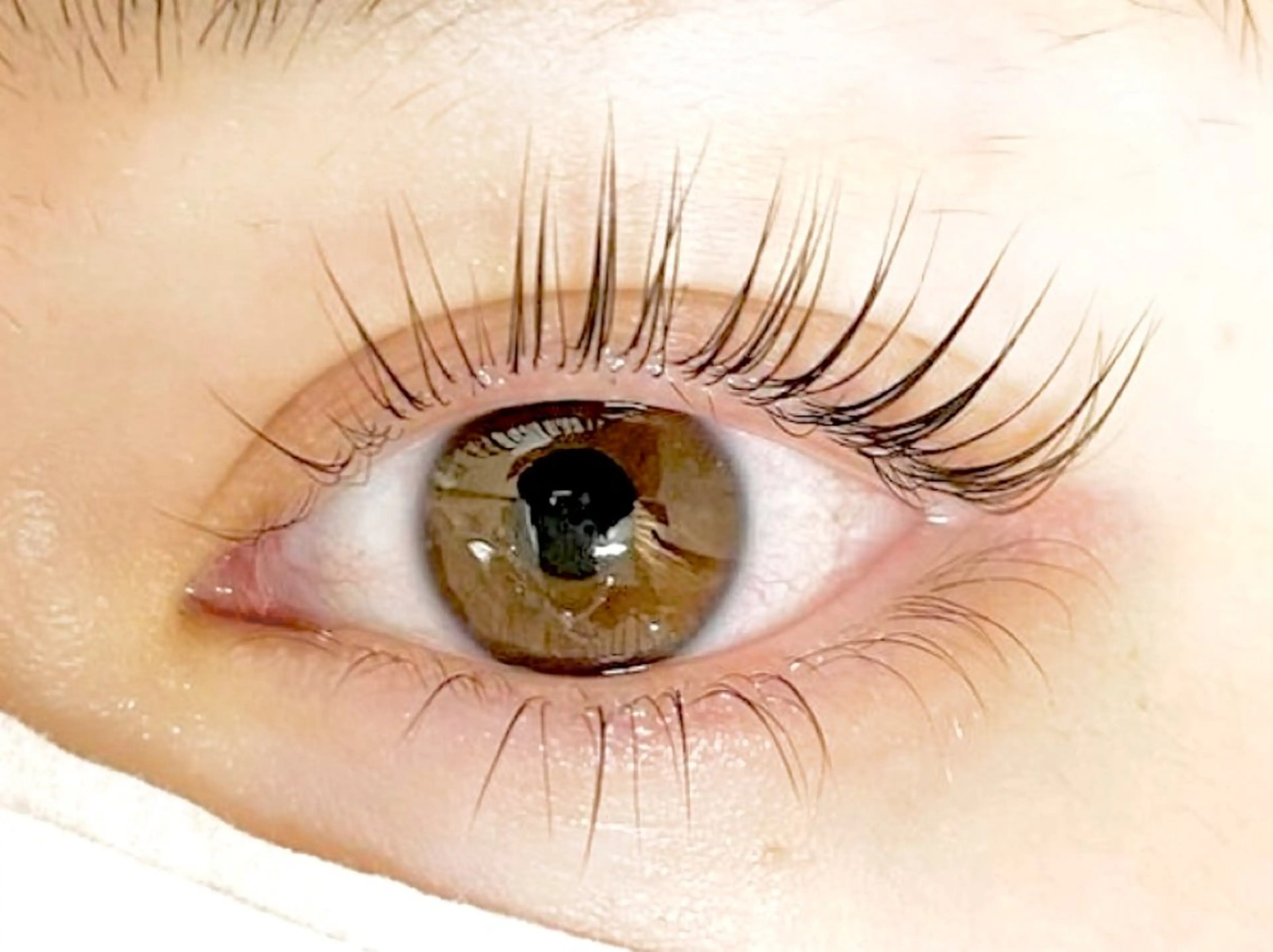 [当日予約限定メニュー❕✨]豊富なデザインの上下ラッシュリフト✨トリートメントケア.束感コーティングのサービス付き♡の写真