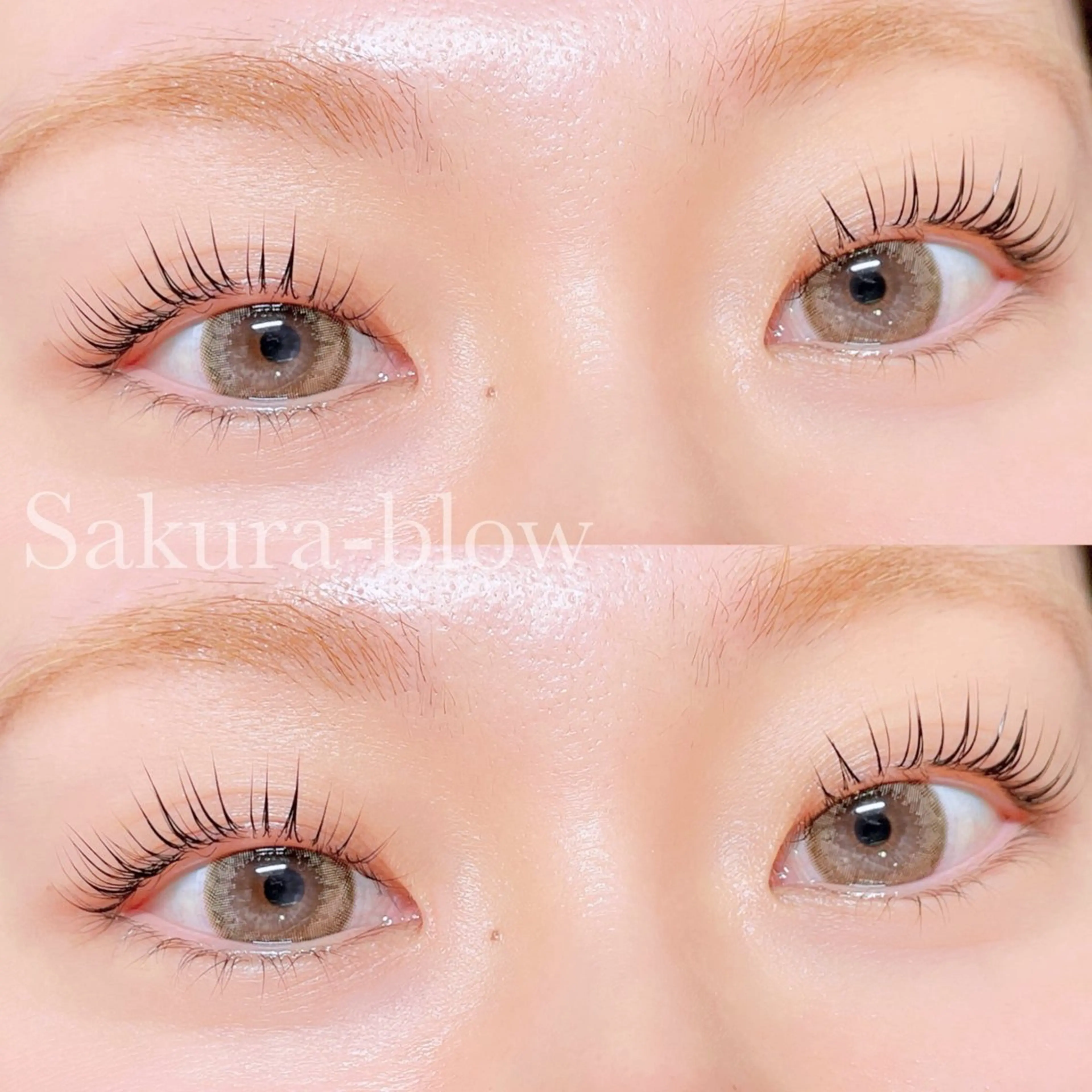 マツエク・マツパ パリジェンヌラッシュリフト Sakura-blow梅田店所属・Sakurablow 大槻のマツエク・マツパデザイン
