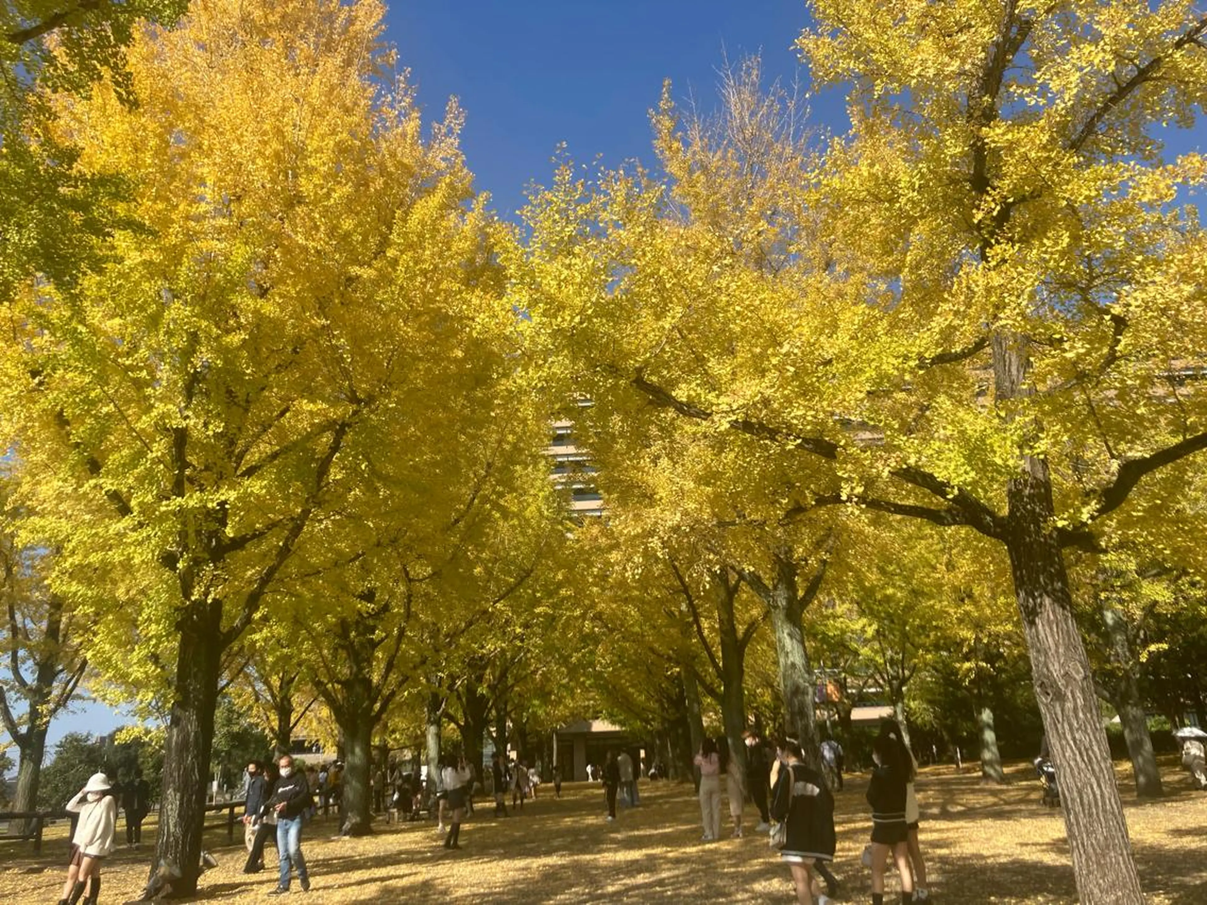 フェイシャルサロン ビアンカガーデンのエステ・リラクイメージ