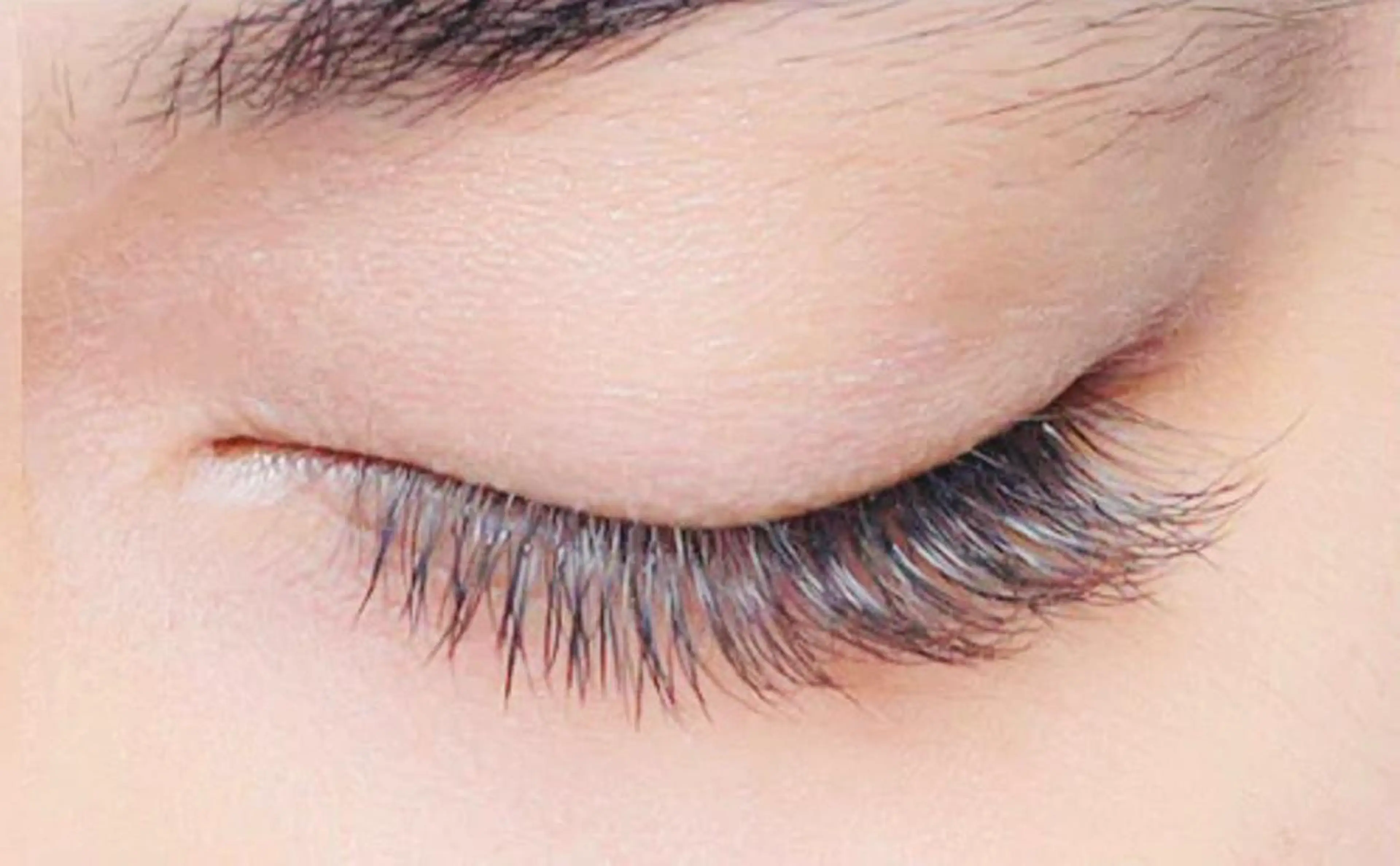 マツエク・マツパ ナチュラル ボリュームラッシュ Orange  Camelのマツエク・マツパデザイン