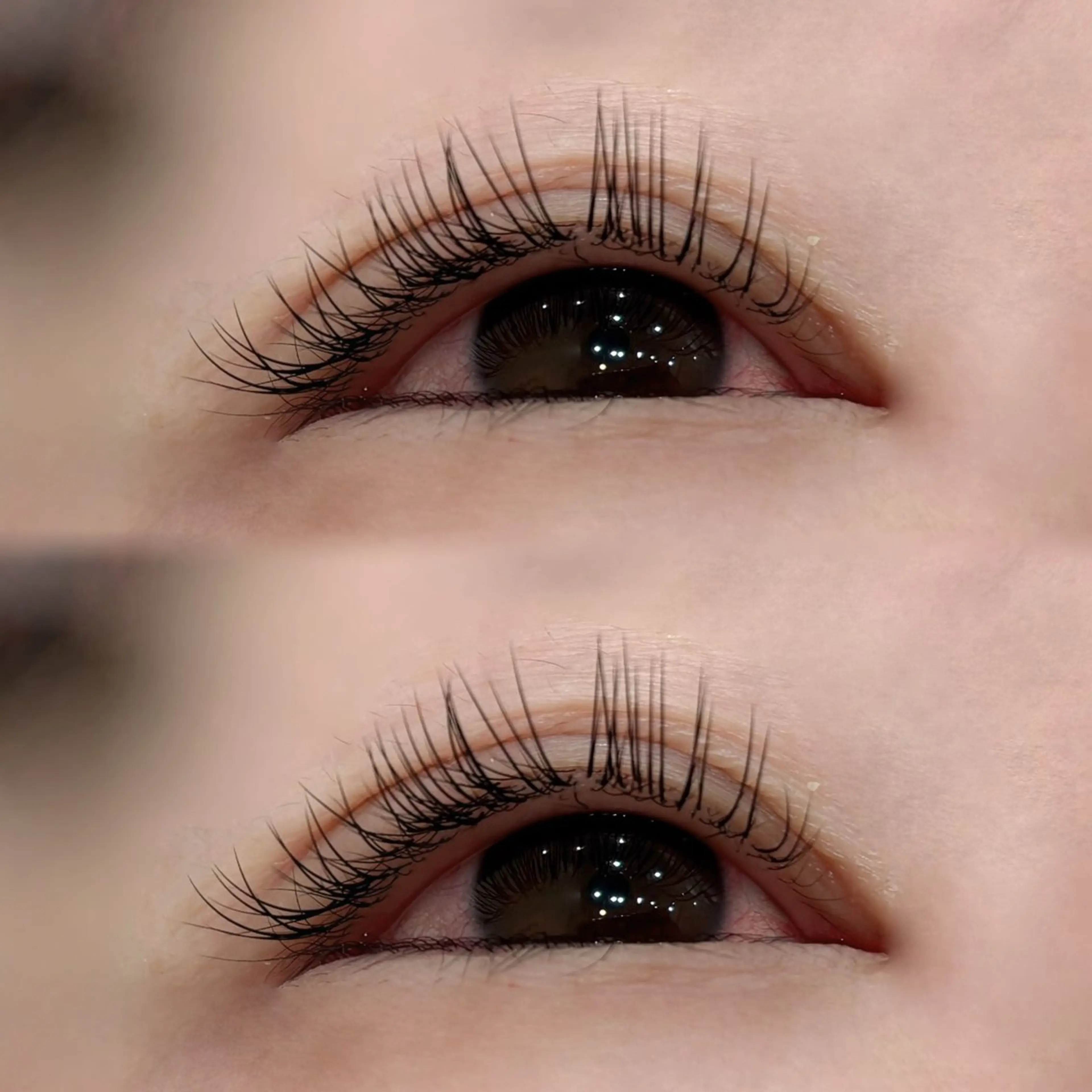 マツエク・マツパ BEAUTYGENE 🪽よこやまのマツエク・マツパデザイン