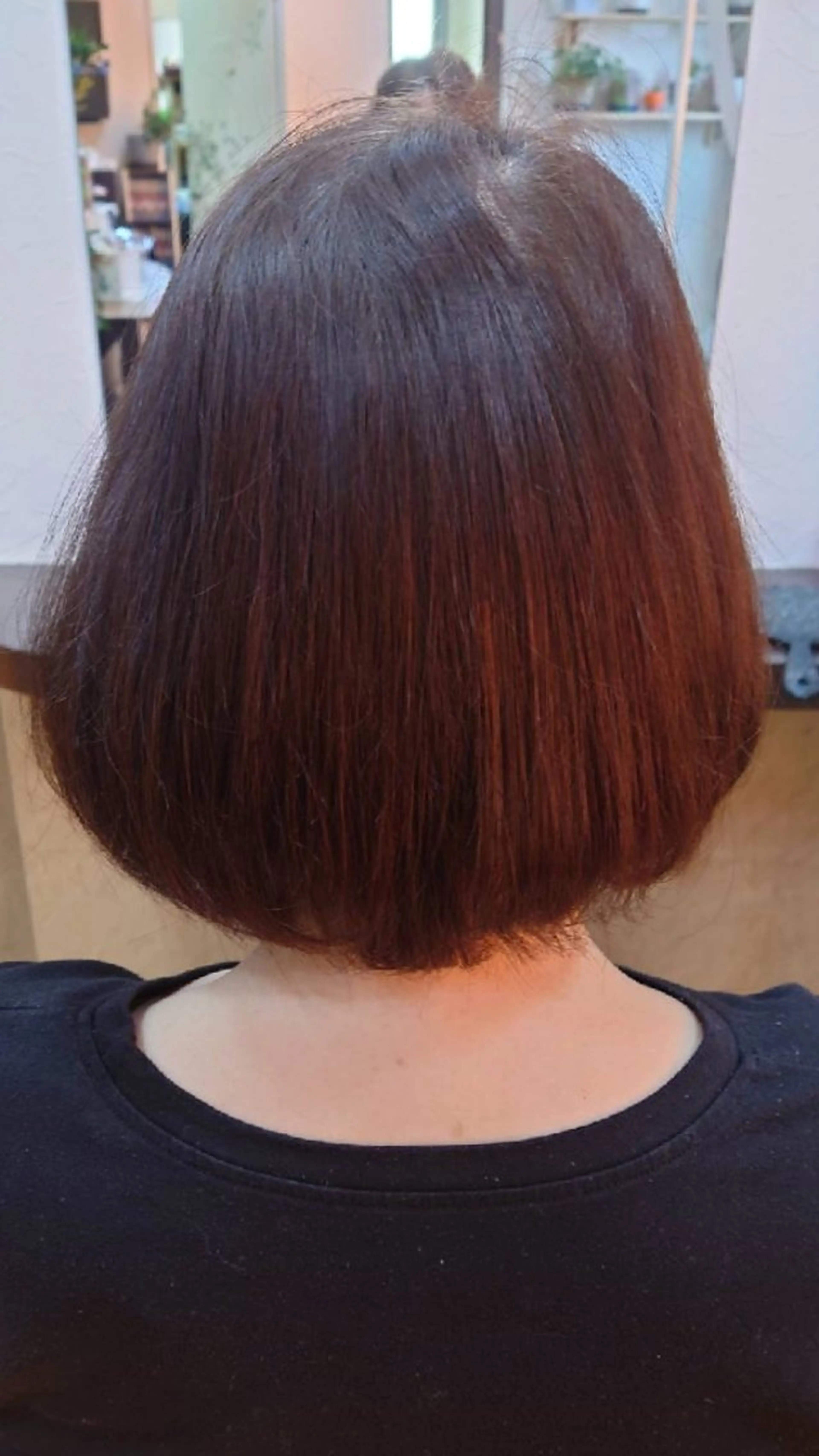 ショート ボブ 谷口 大樹のヘアスタイル