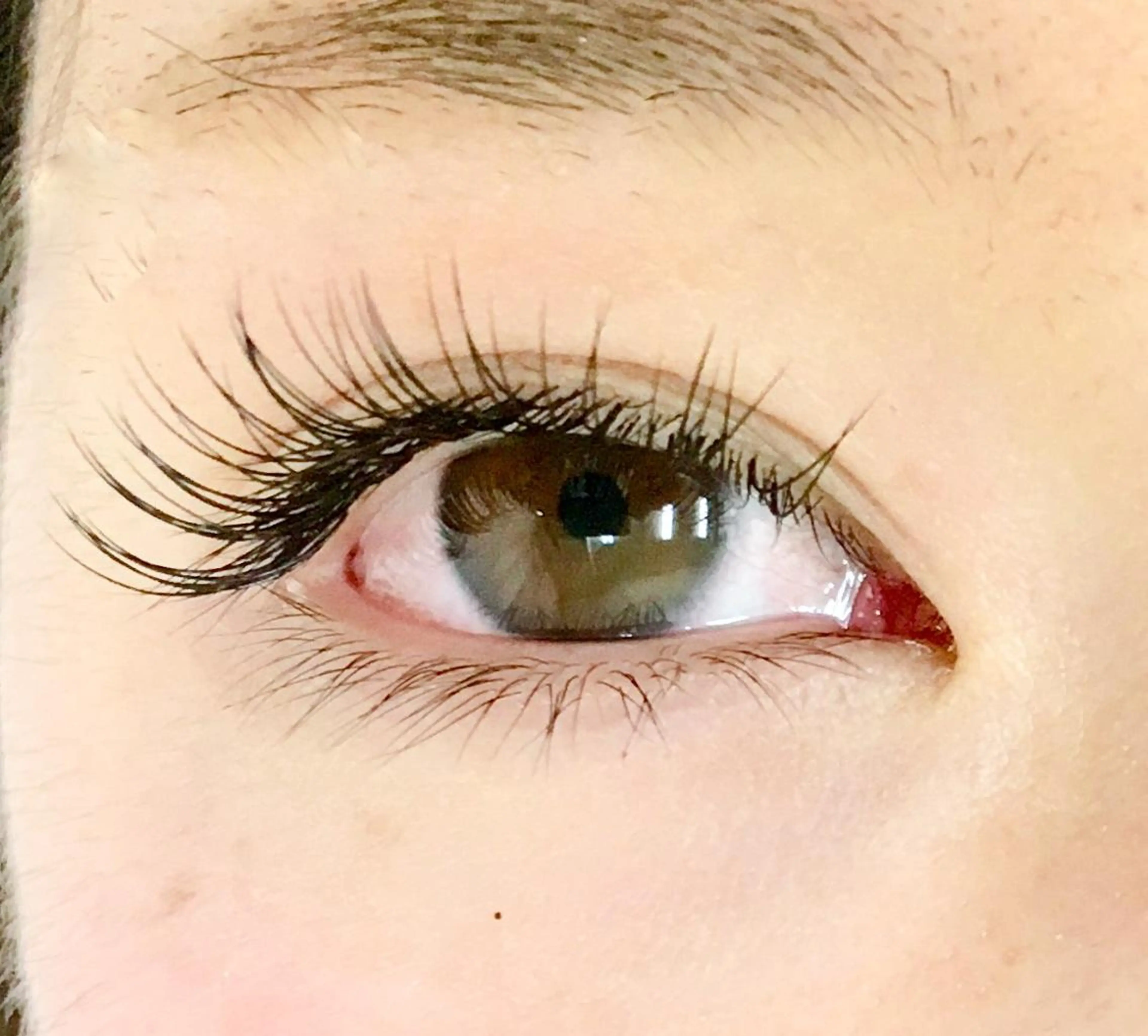 マツエク・マツパ Jカール セーブル 🪻 tipiのマツエク・マツパデザイン