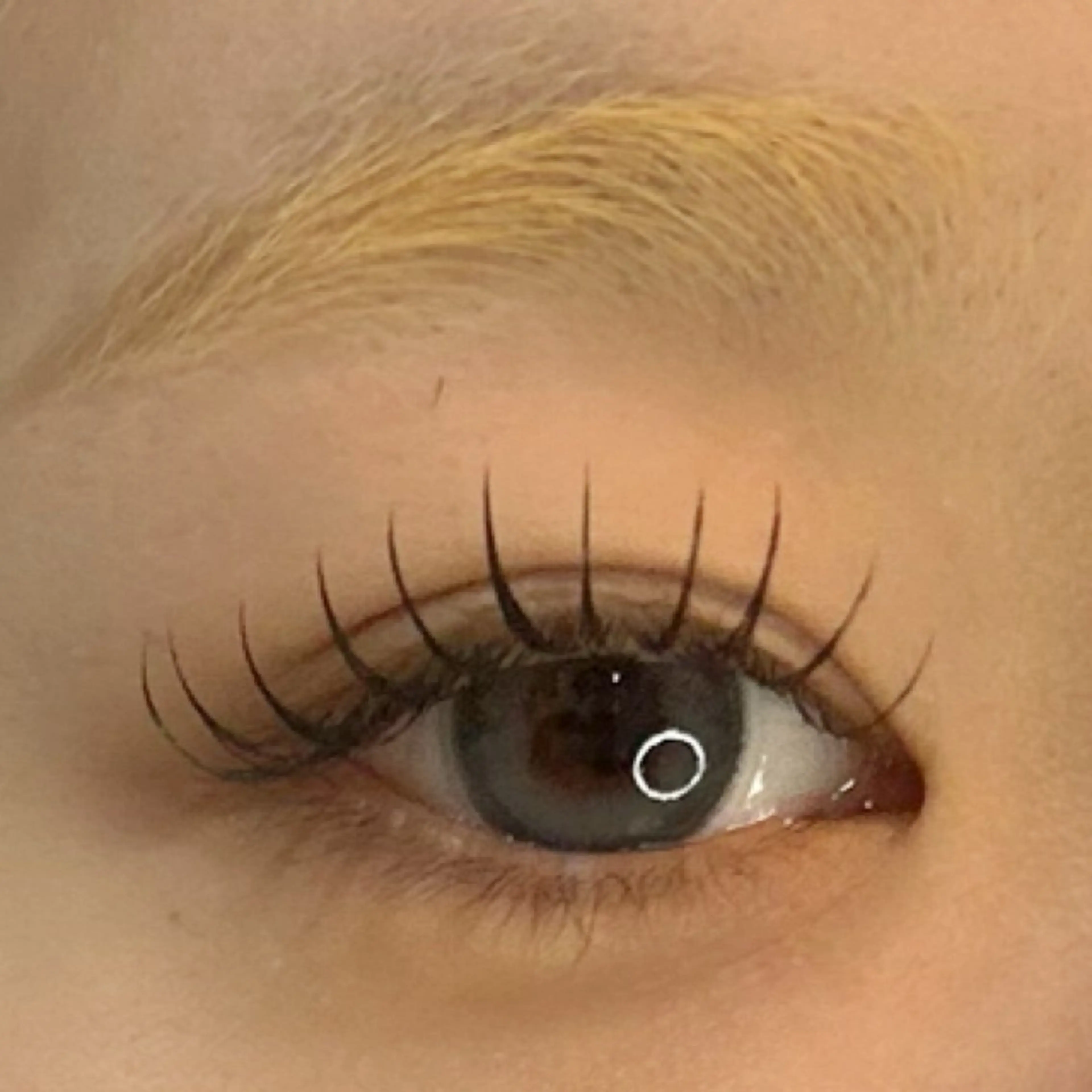 マツエク・マツパ privete salon Mignon【ミニョン】所属・井上 梨花のマツエク・マツパデザイン