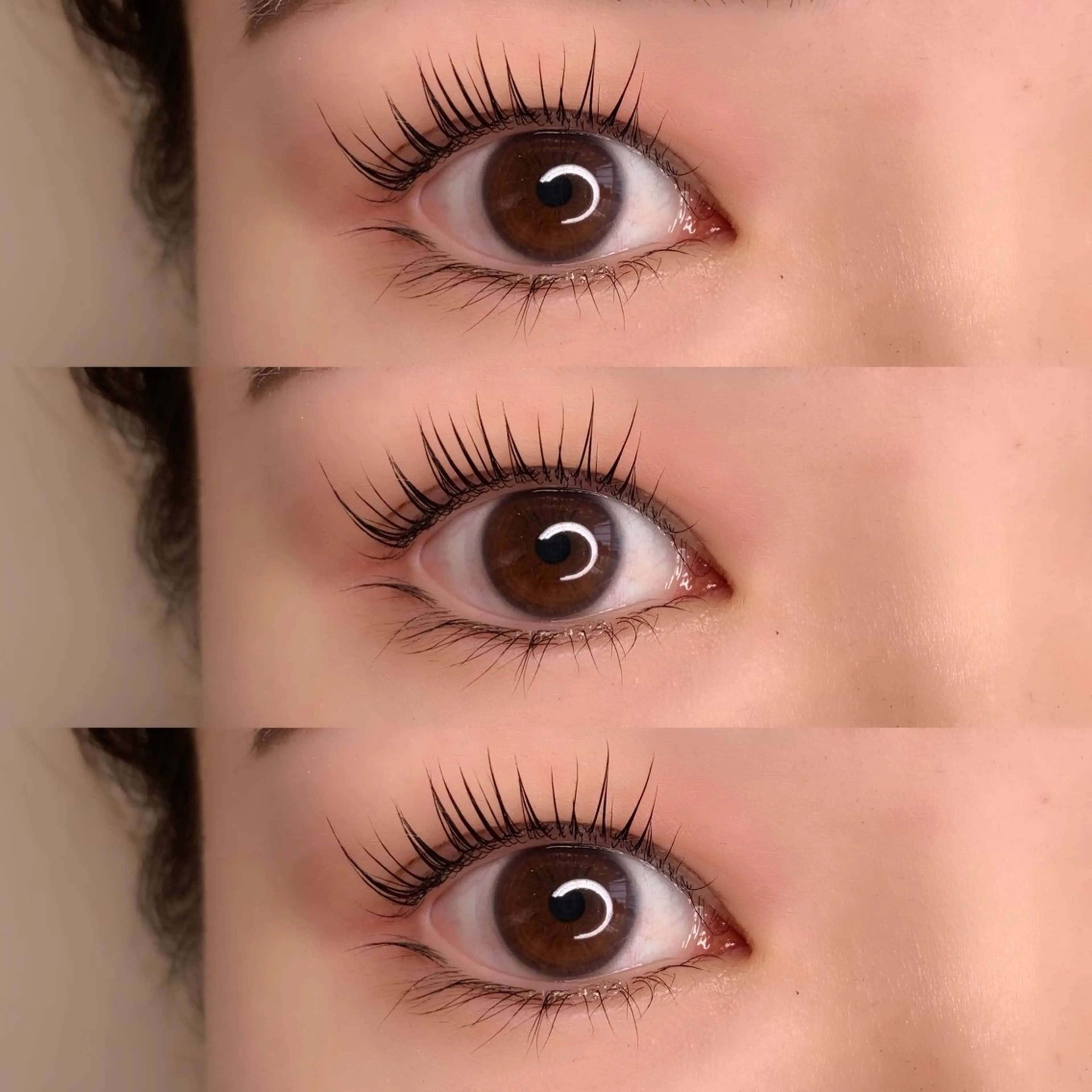 🧸2月1日限定練習モデル様🧸パリジェンヌラッシュリフト⭐️の写真