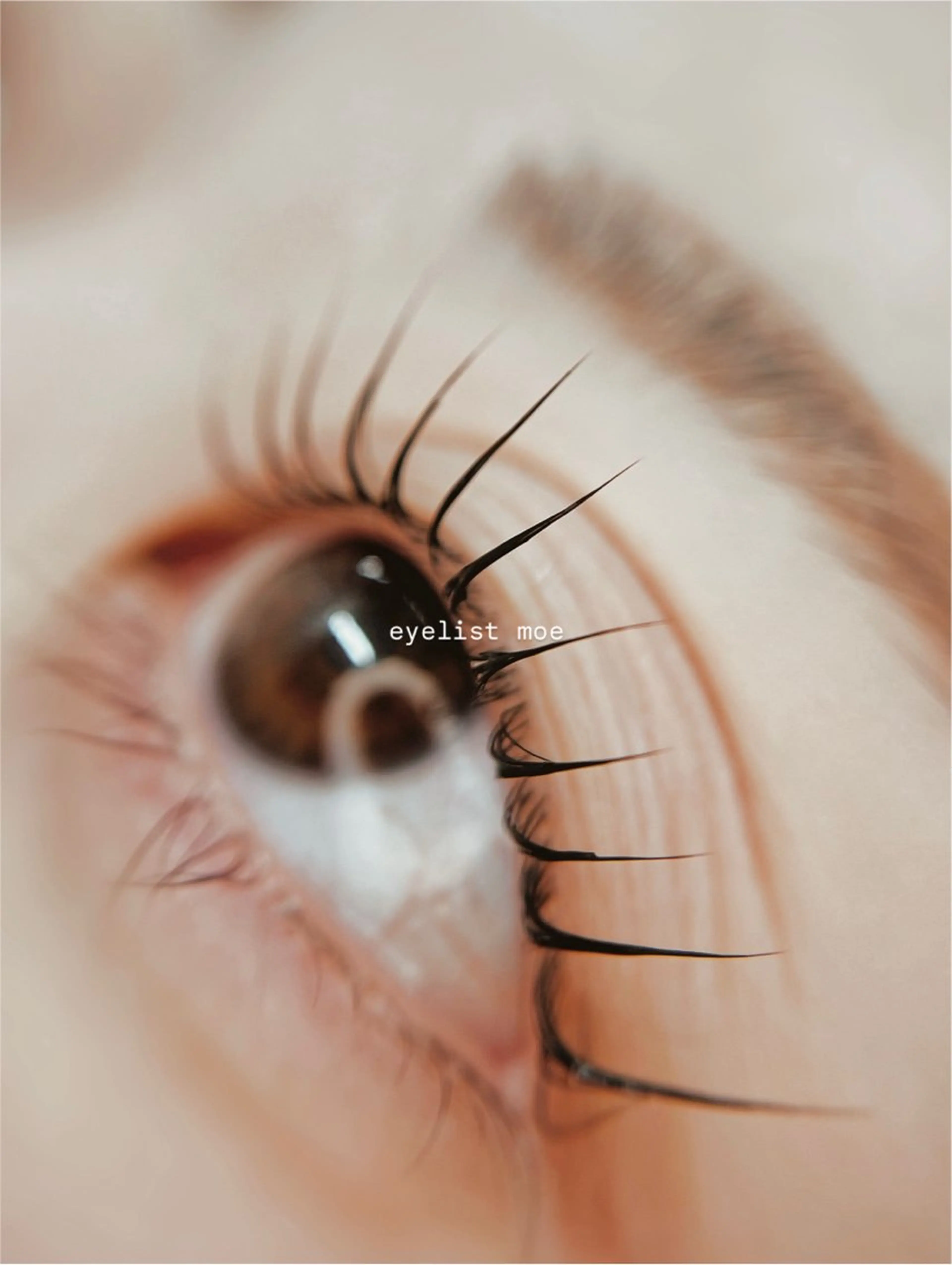 ▫️ 【 新規限定 】パリジェンヌラッシュリフト＋コーティング仕上げ✨忙しい朝もぱっちりeye🌙🌿の写真