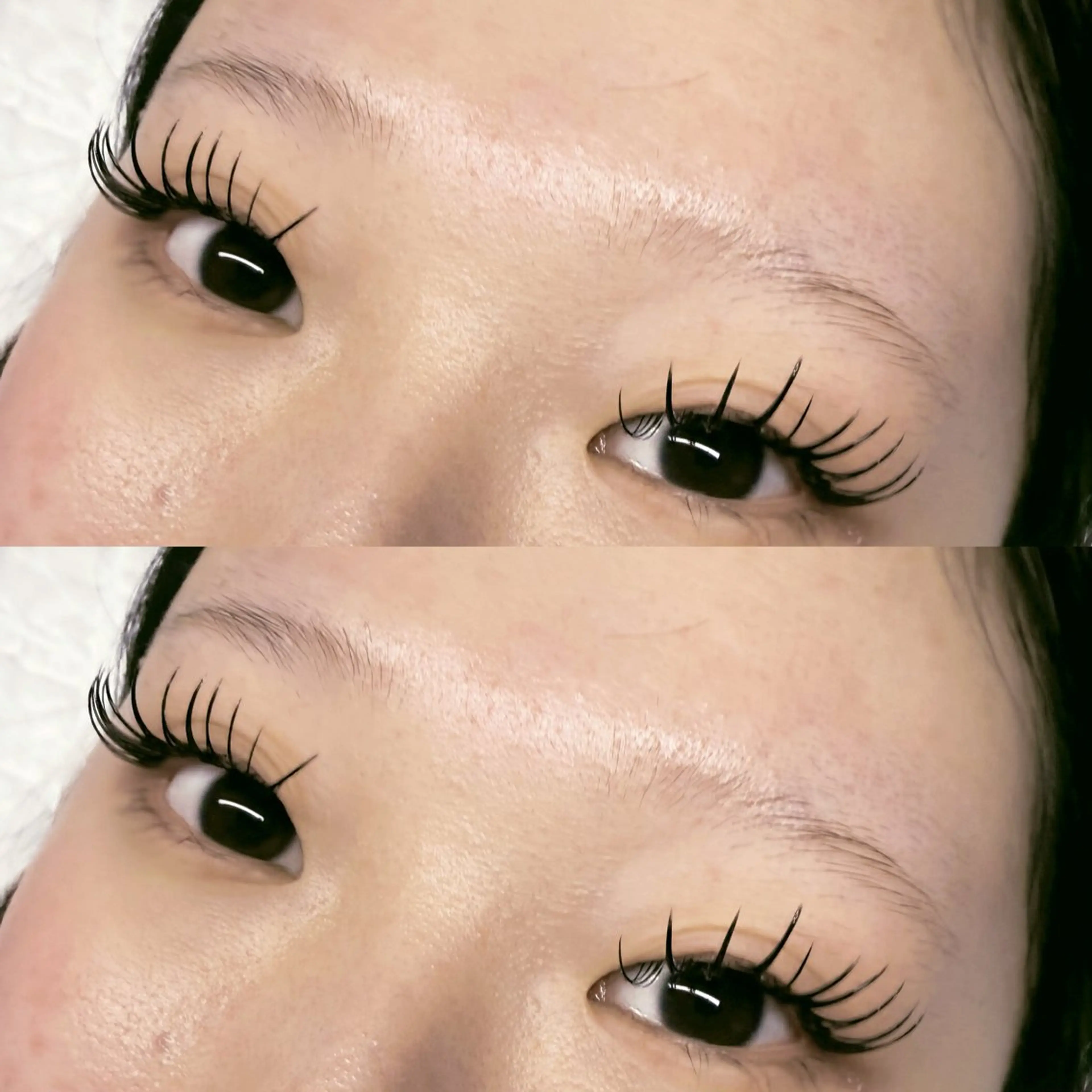 【 ダブルフラットラッシュ🤍70束(140本) 】の写真