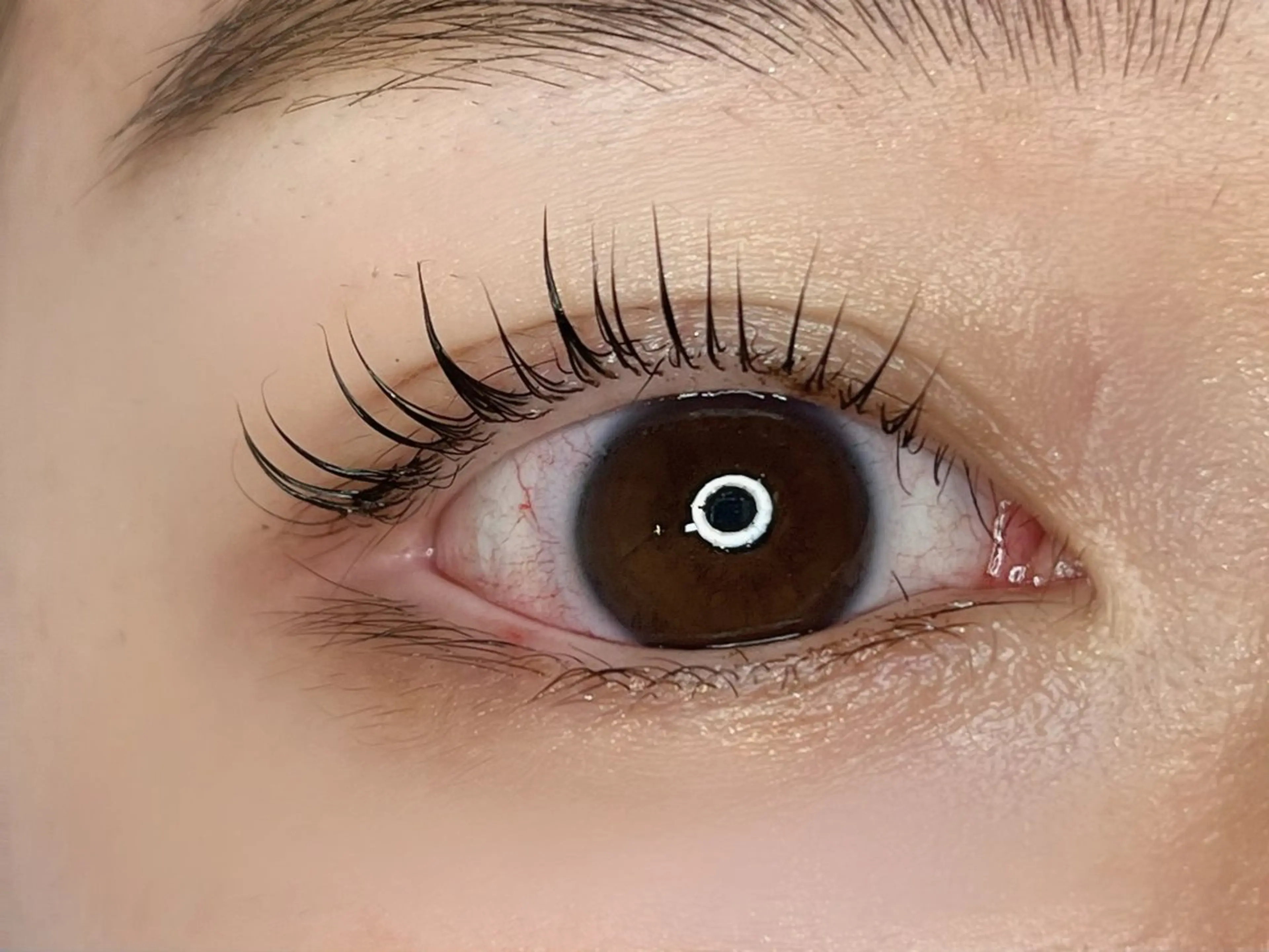 マツエク・マツパ 韓国風マツエク パリジェンヌラッシュリフト マツパ charme TOMOYOのマツエク・マツパデザイン