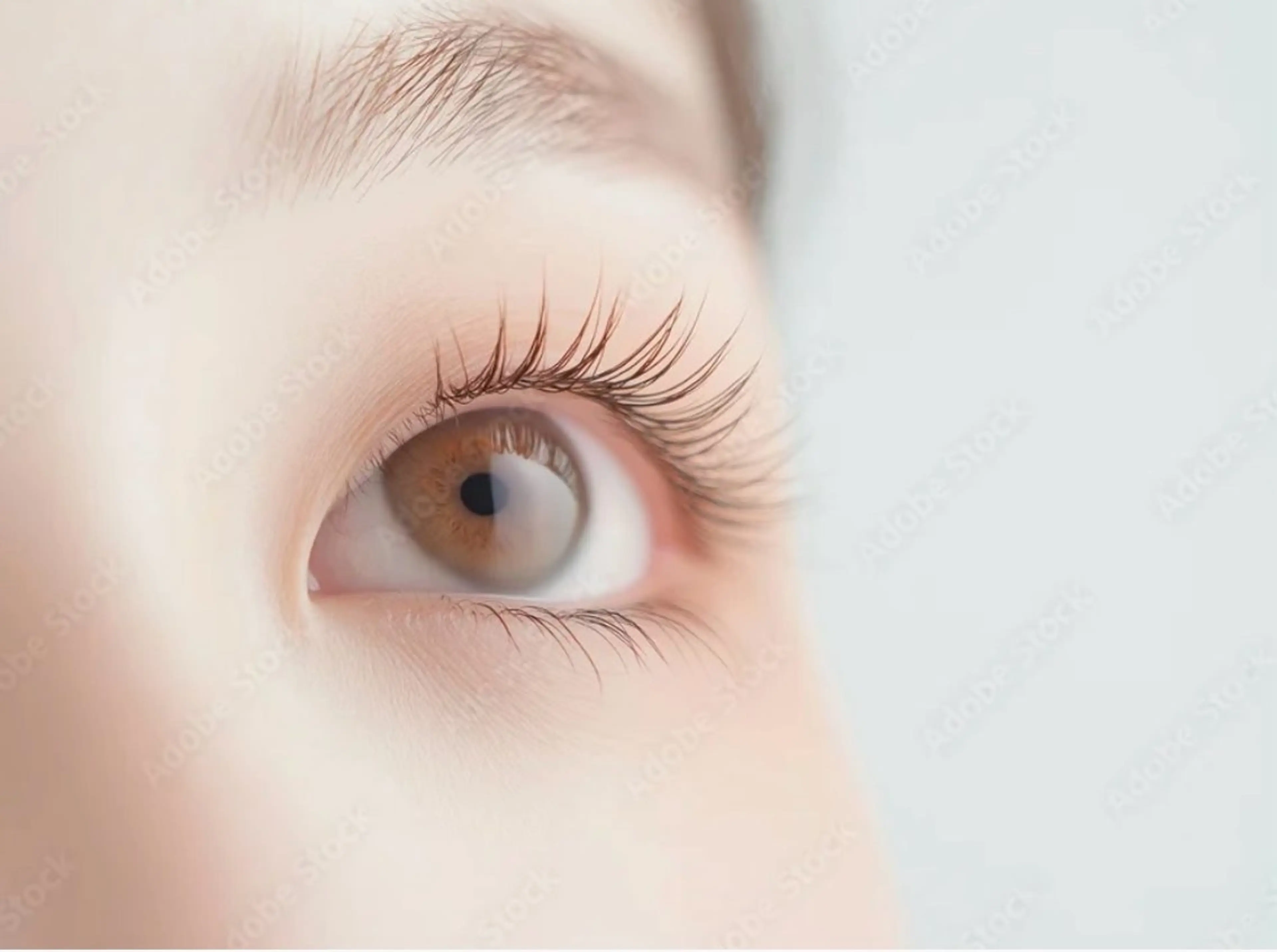 🎀シングルフラットラッシュ【140本 】コーティング付き⚠️注意事項必ずお読みください⚠️(オフ無し).の写真