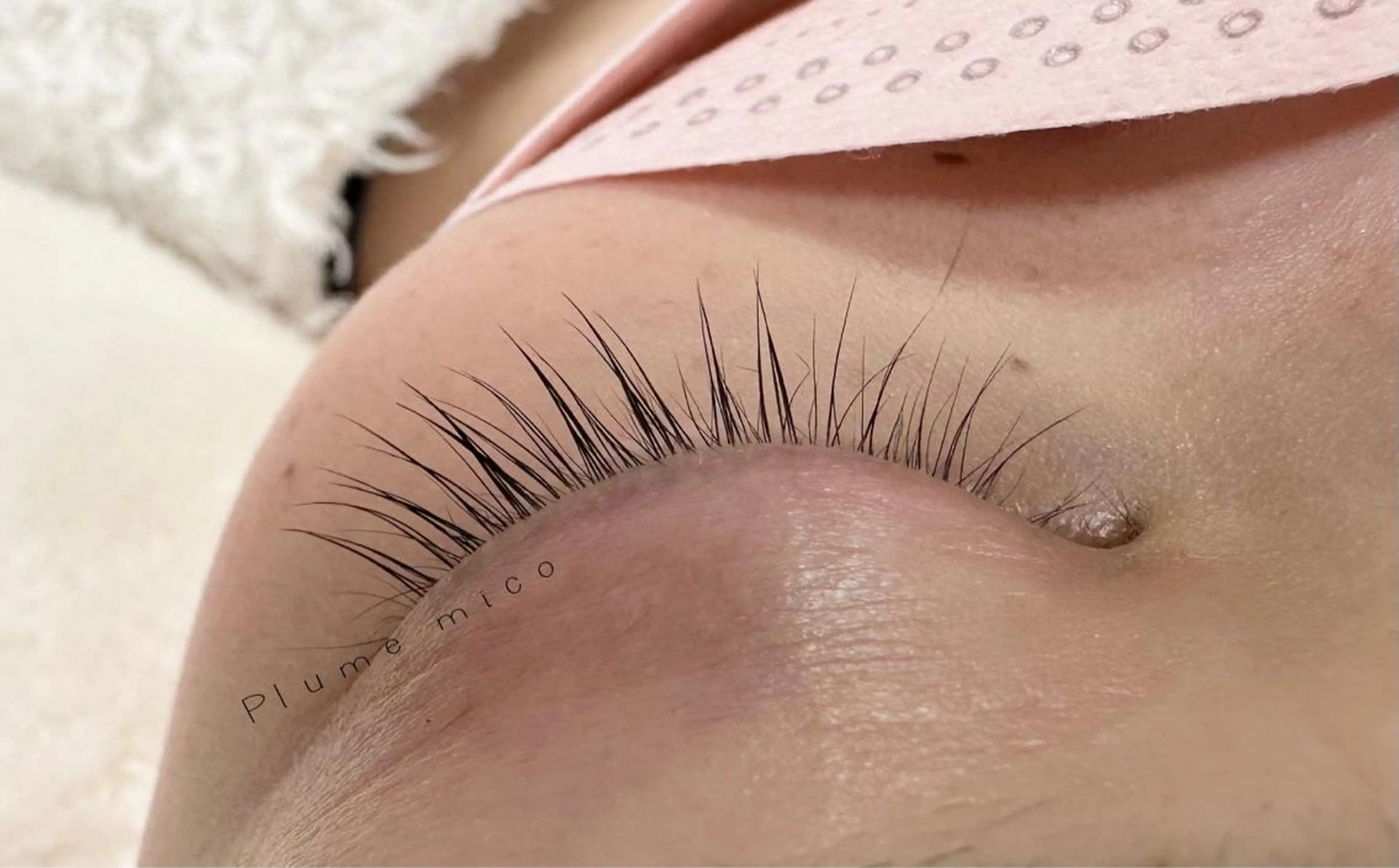 マツエク・マツパ マツパ Plume micoのマツエク・マツパデザイン