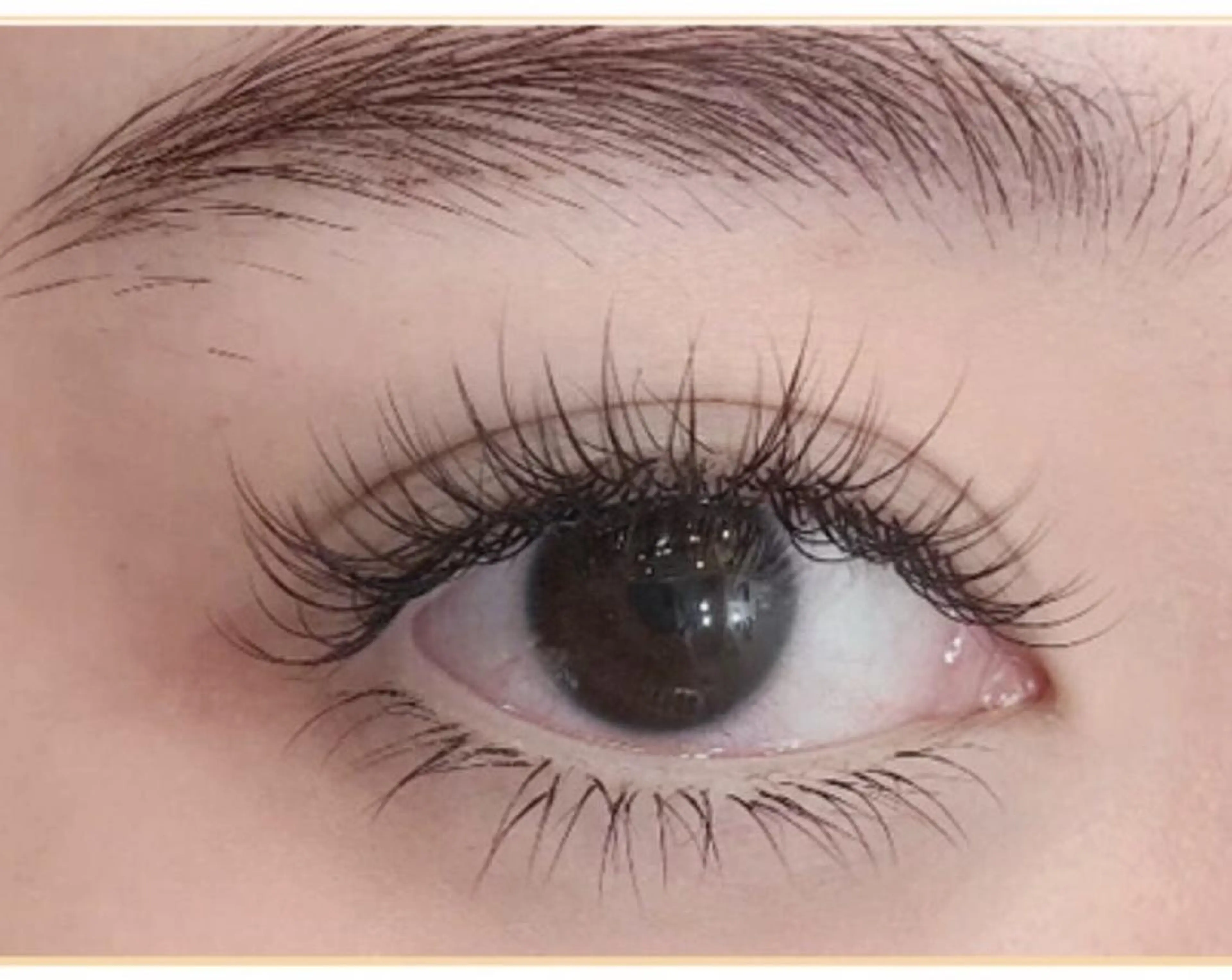 マツエク・マツパ 付け放題 フラットラッシュ ミンク セーブル Cute beauty2のマツエク・マツパデザイン