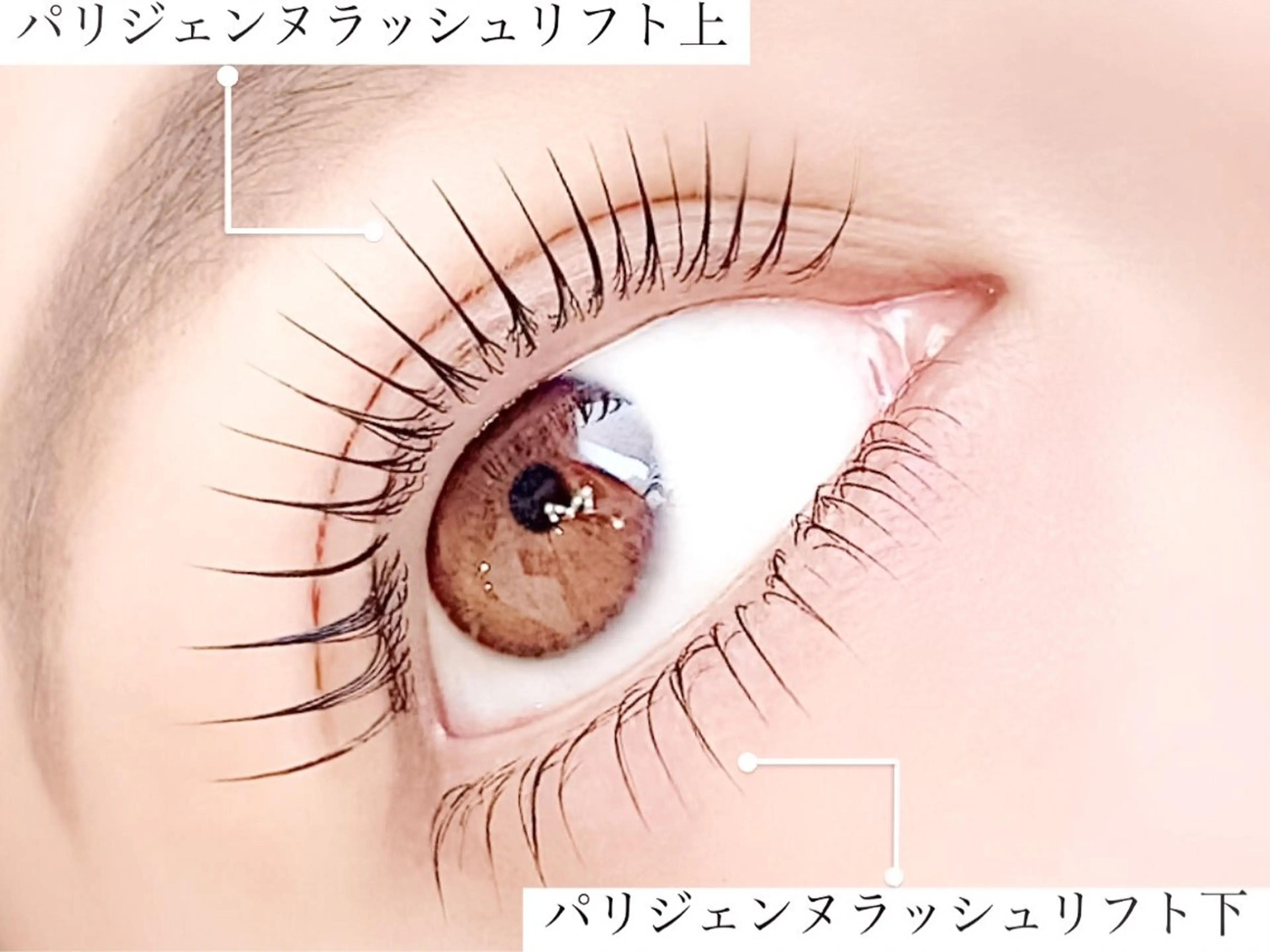 【✨逆さまつげ解消✨】下まつげパーマの写真