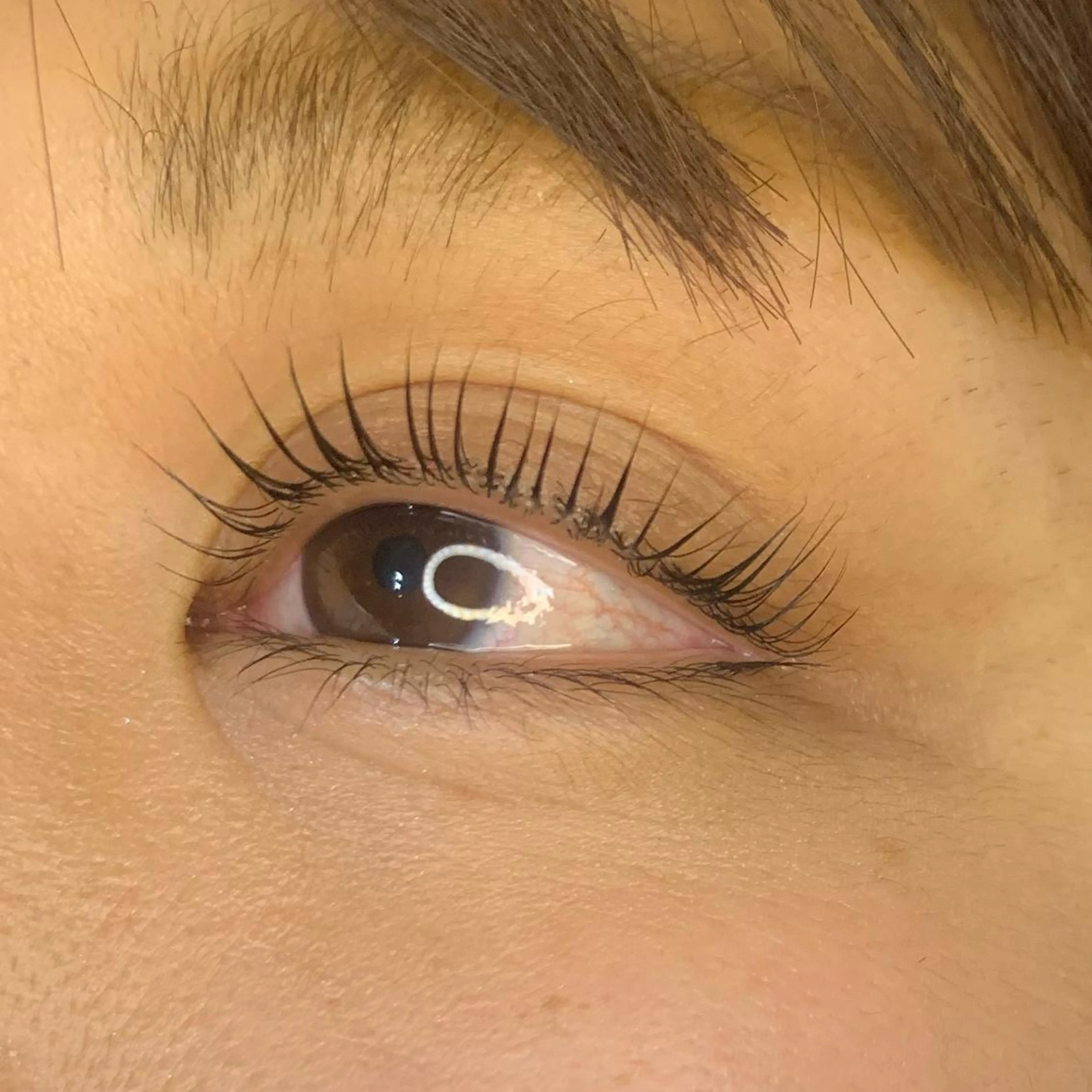 マツエク・マツパ Celeste Venus所属・🧸Celeste Venusのマツエク・マツパデザイン