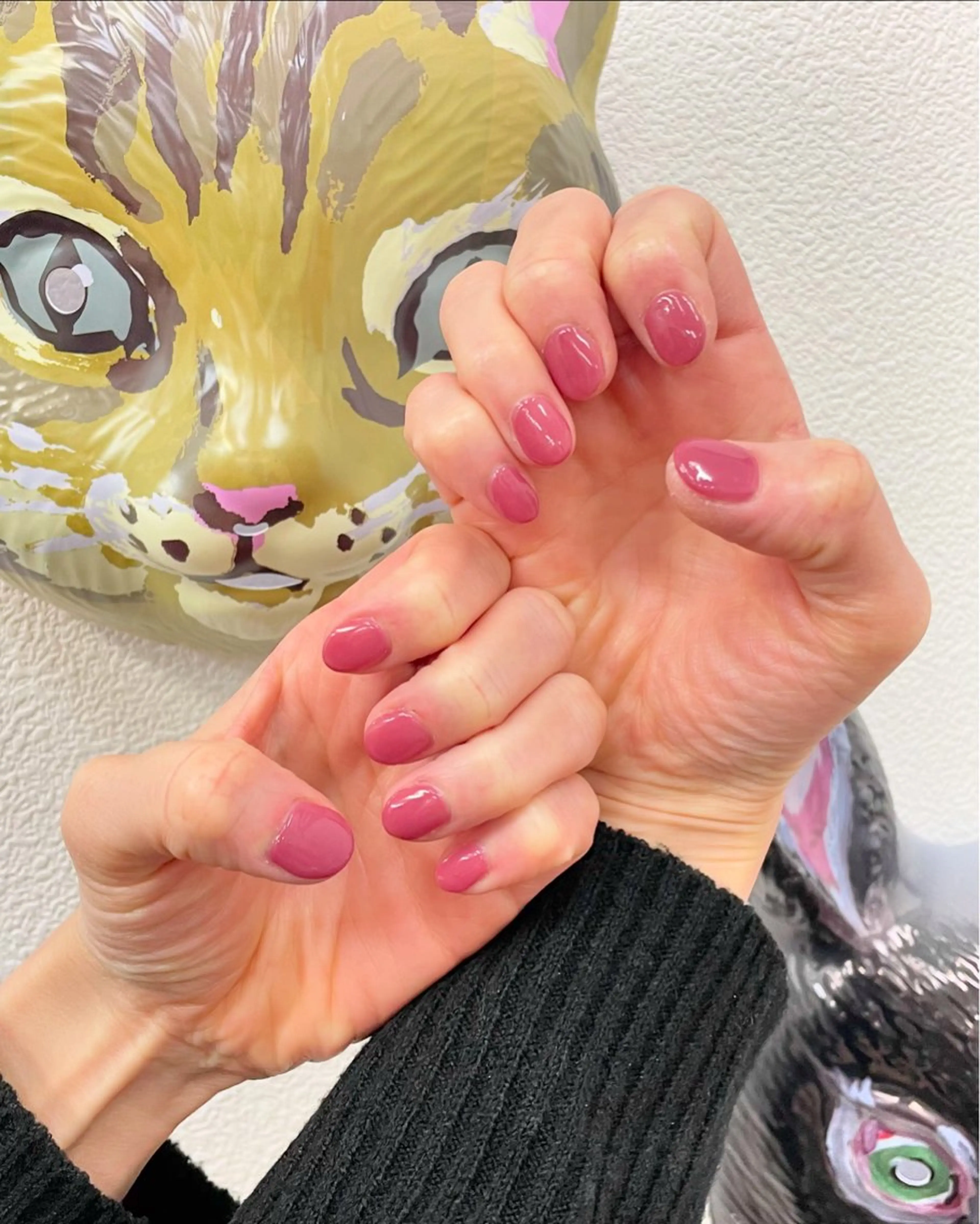 【ミニモ価格】オフなしワンカラーの写真