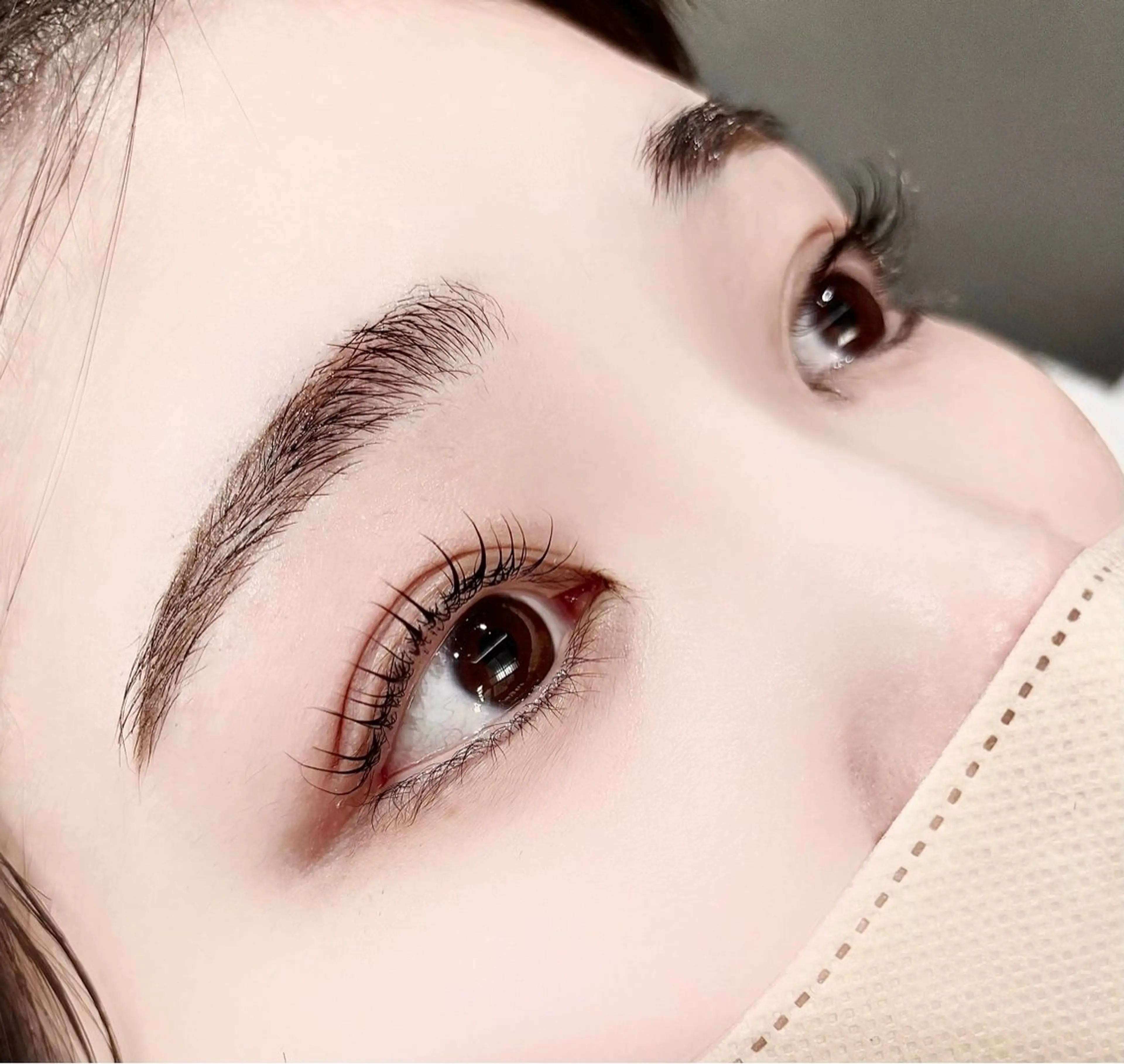 ご新規様限定価格✨ladieseyebrow（間引きあり）🌙の写真