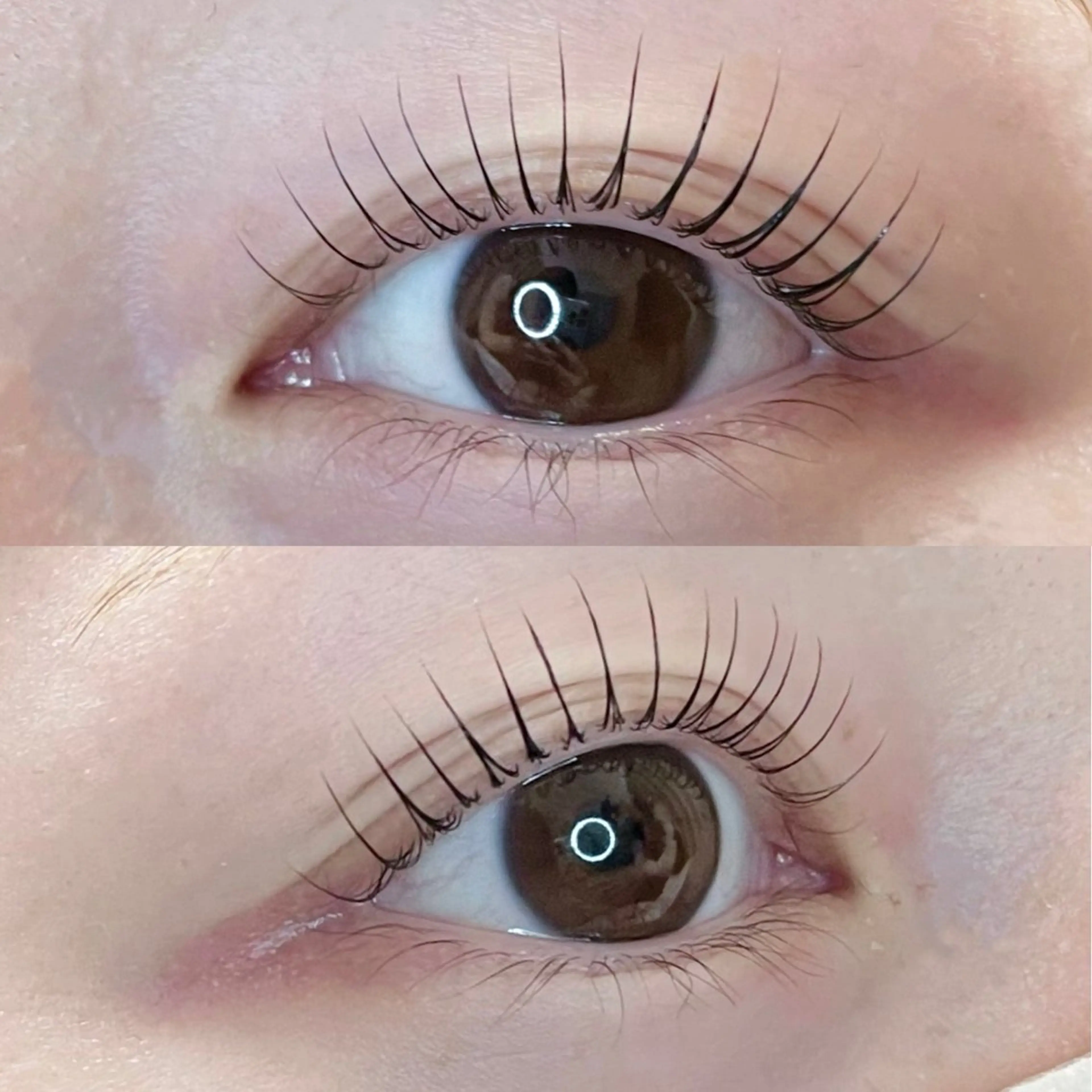 マツエク・マツパ マツパ Lupines ౨ৎ˖⊹ AISAのマツエク・マツパデザイン