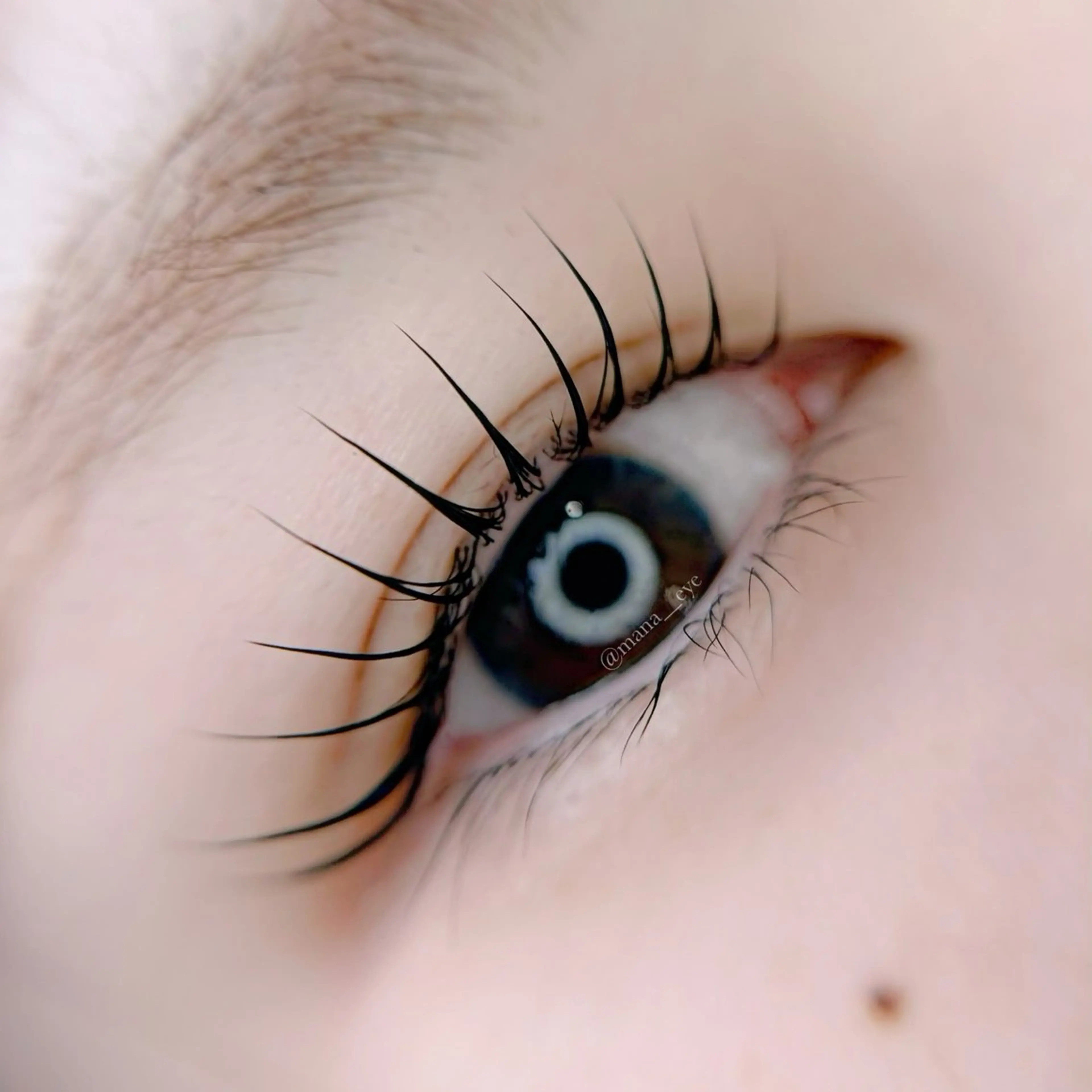 マツエク・マツパ Lani🌺 アイリストMANAのマツエク・マツパデザイン