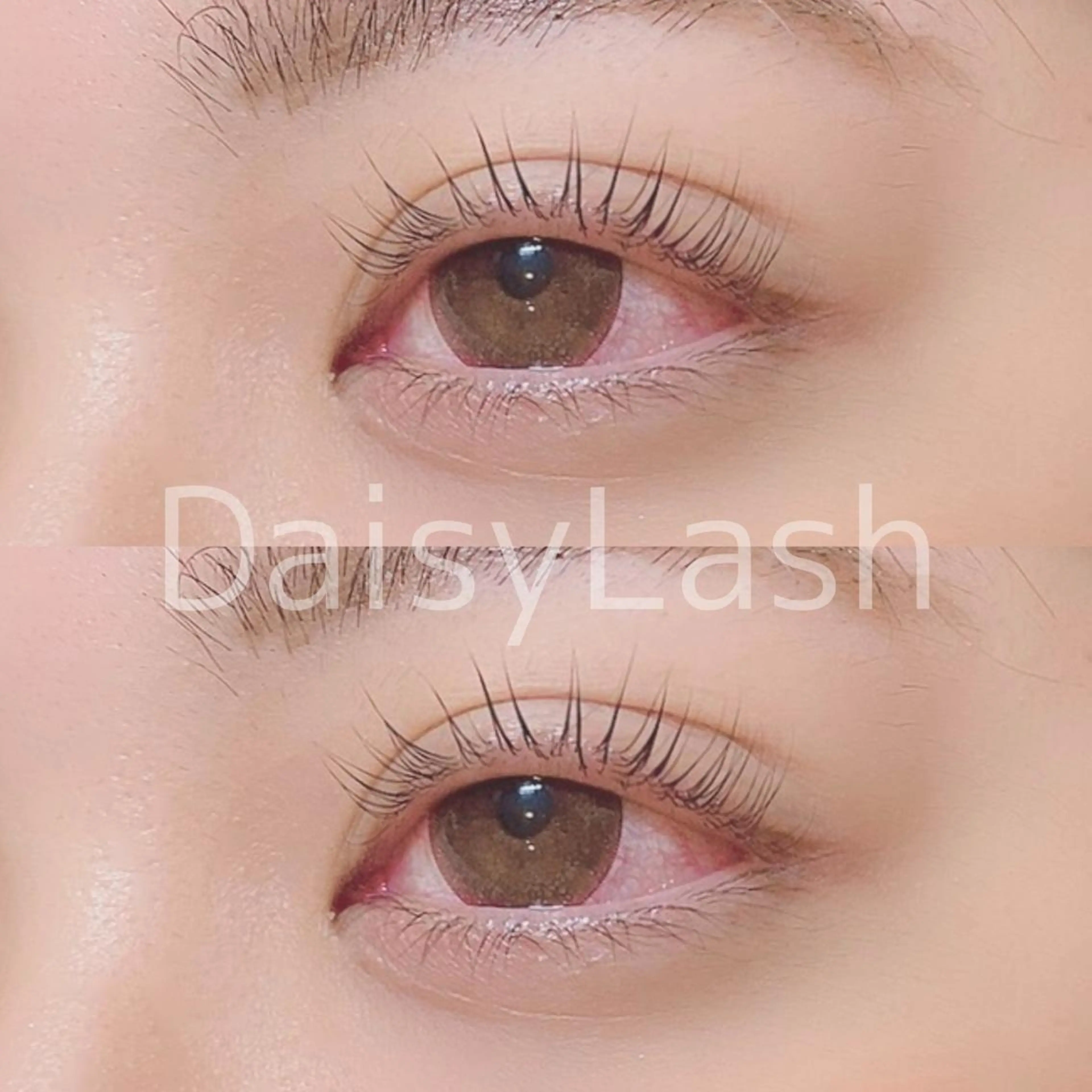 マツエク・マツパ DaisyLash 京橋店のマツエク・マツパデザイン
