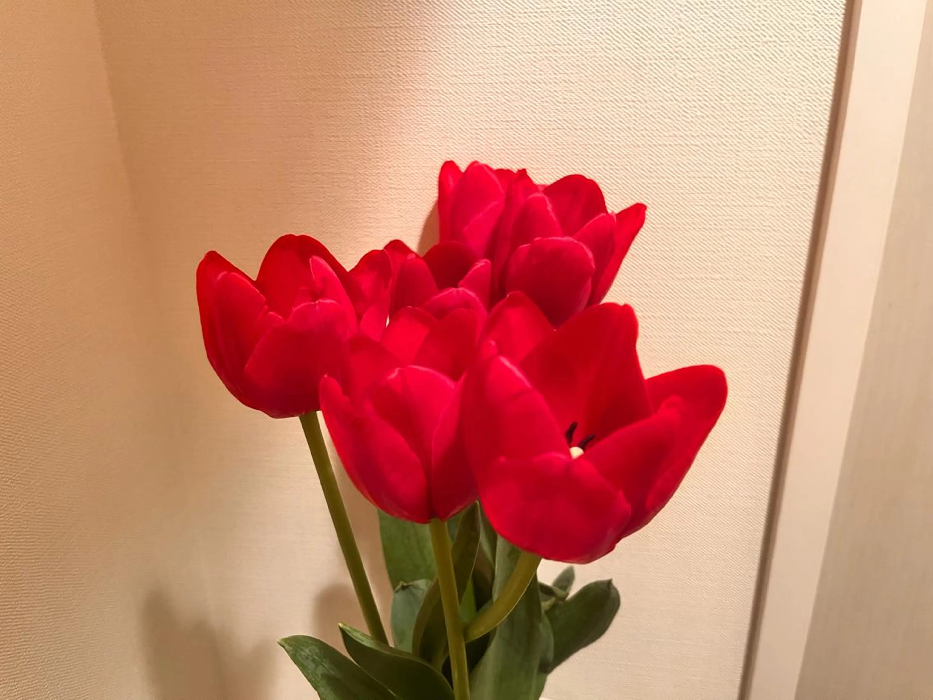 脱毛 美容室 3piece 個室マツエクroom所属・高津3ピースドライ ヘッドスパ・ヒゲ脱毛のエステ・リラクイメージ